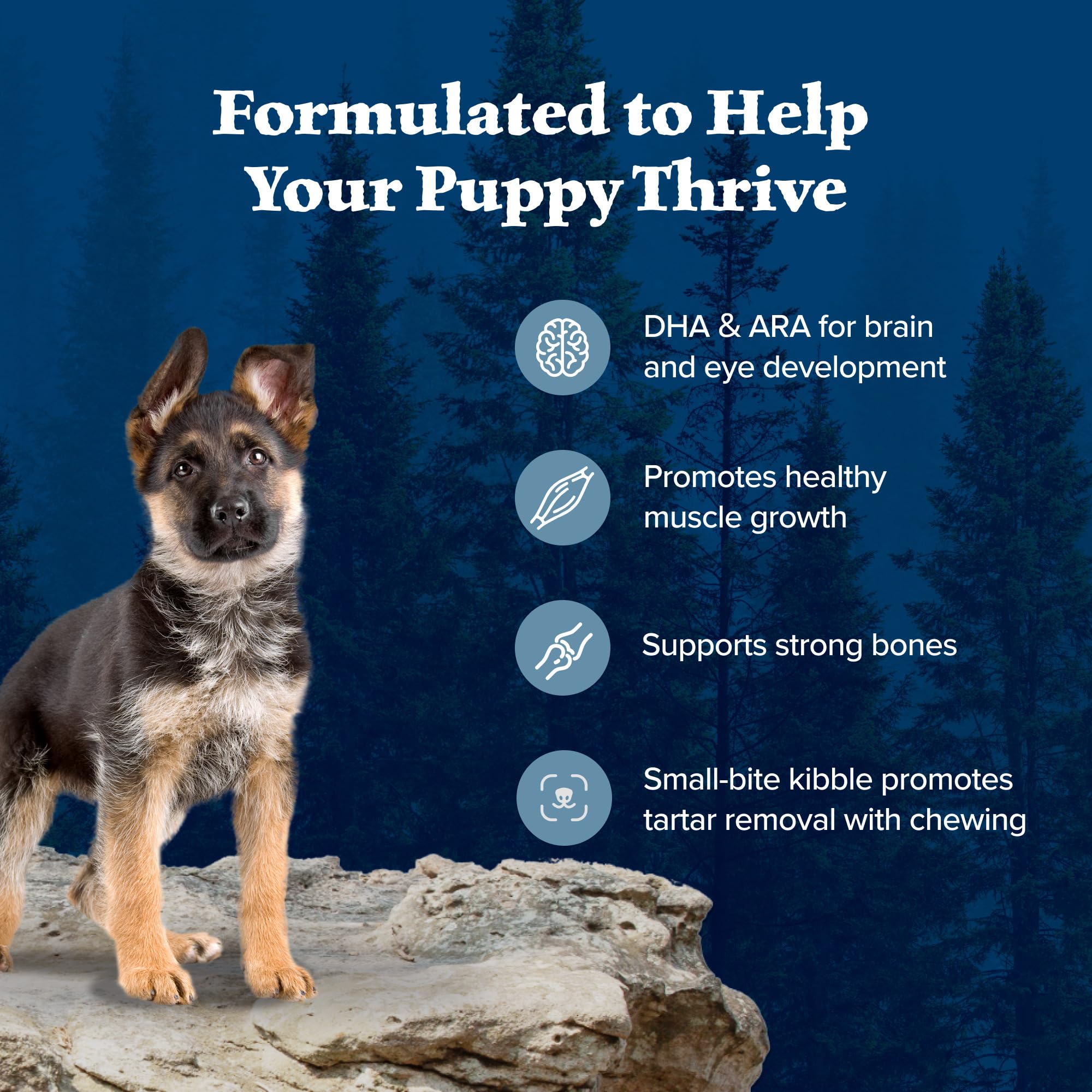 Blue Buffalo Wilderness Puppy High-Protein Dry Dog Food with Real Chicken, Grain-Free, Made in the USA with Natural Ingredients,