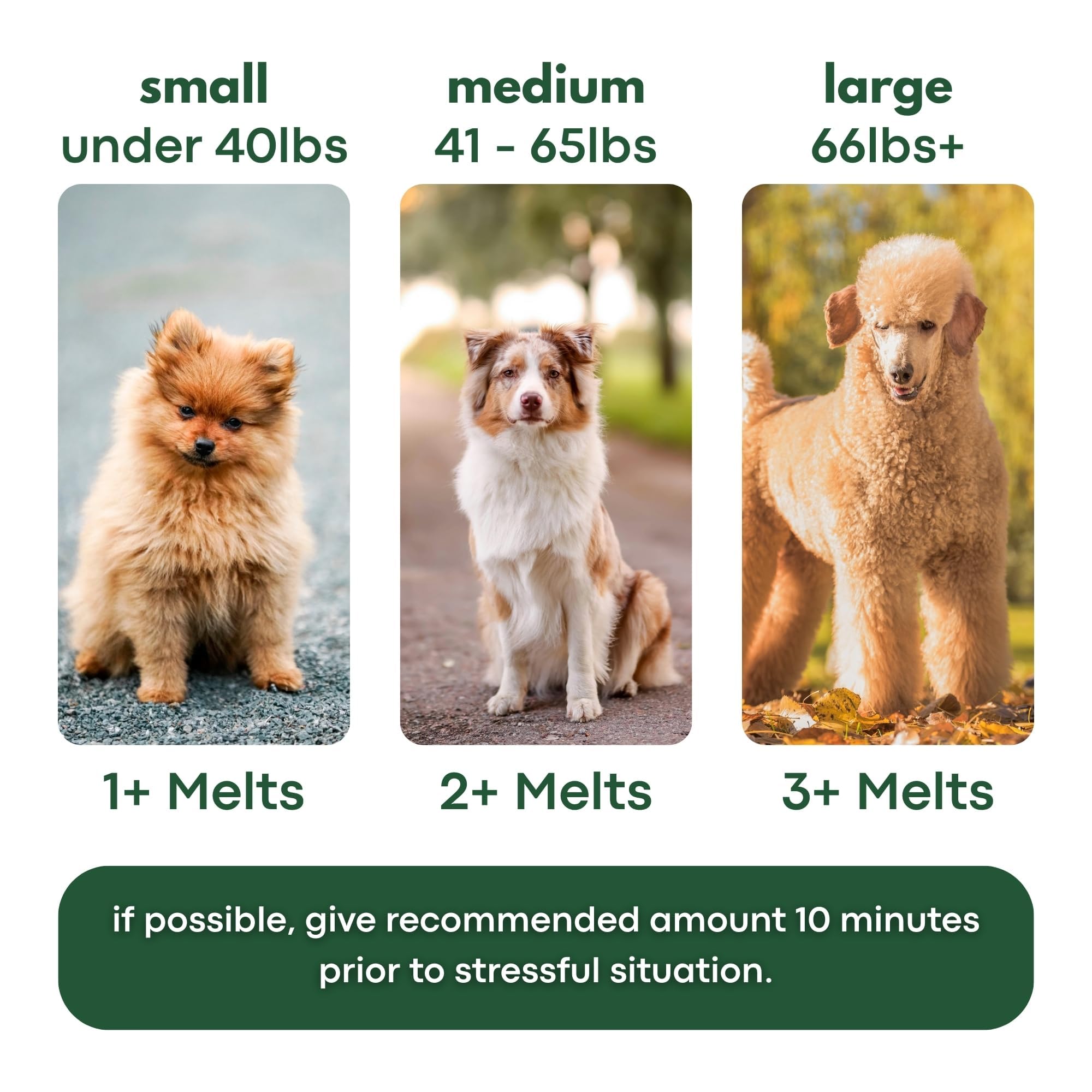 PetPax Co. ZenMelts Dogs Anxiety Relief Calming 30 Strips - Anti Anxiety for Dogs During Fireworks, Storms & Separation - Non-Dr