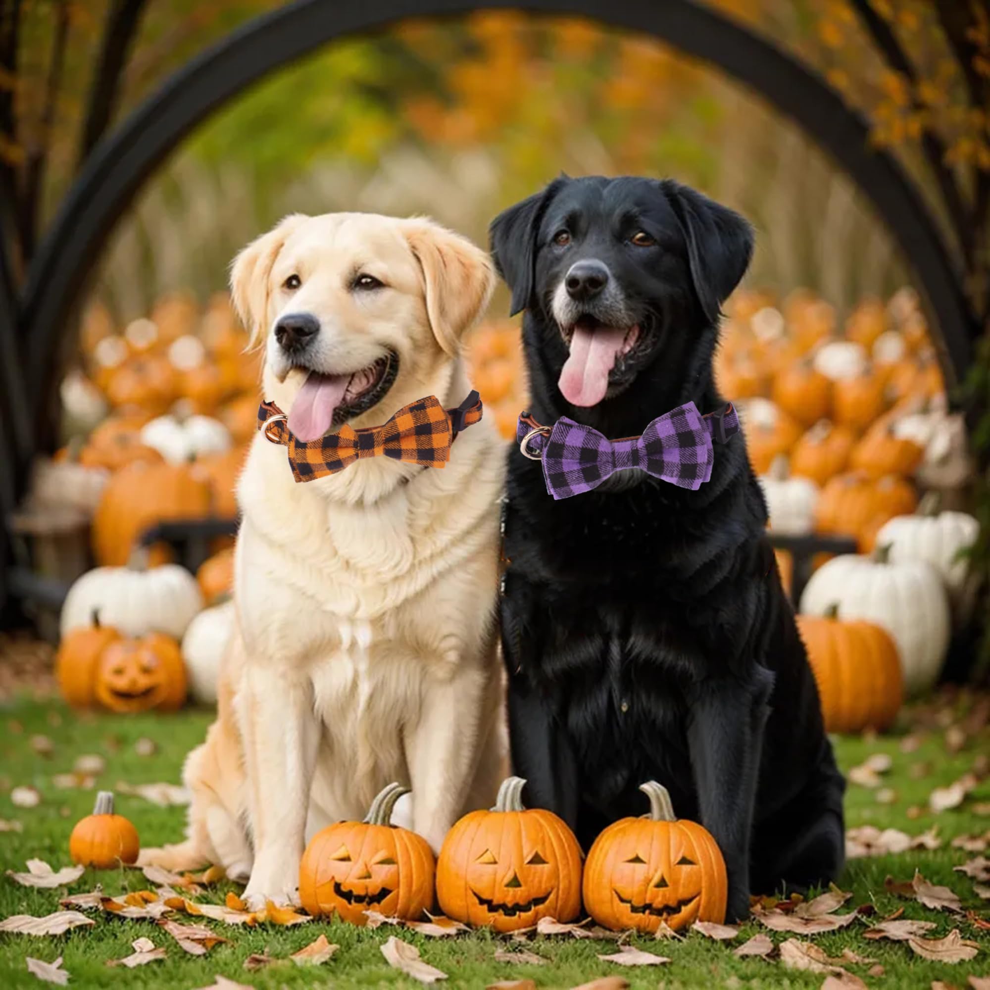 Adoggygo Halloween Dog Collar With Bow, Adjustable Plaid Dog Collars With Removable Bowtie Orange Purple Plaid Halloween Collars For Large Dogs Pets (Large, Orange&Purple)