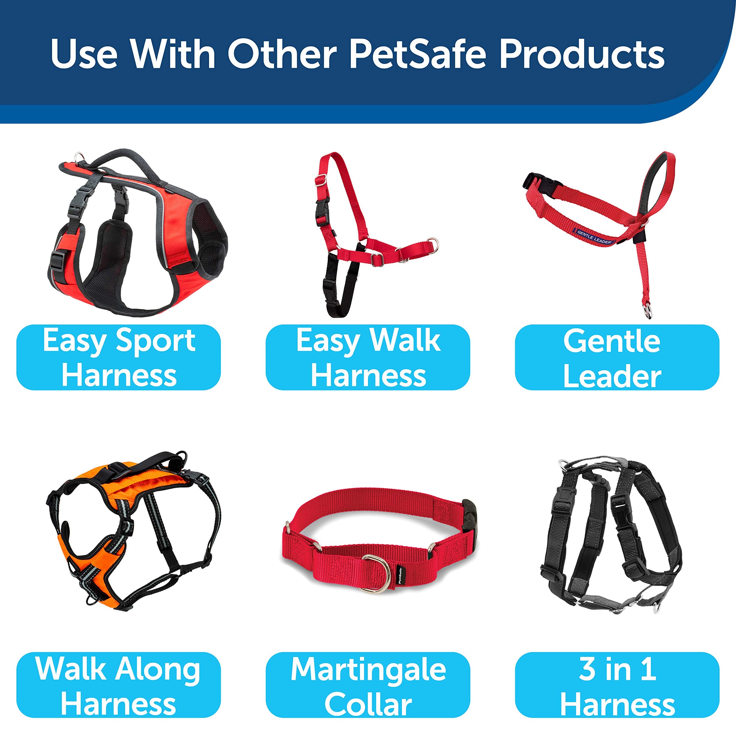 Petsafe Nylon Dog Leash - Strong, Durable, Traditional Style Leash With Easy To Use Bolt Snap - 3/8 In. X 6 Ft., Red