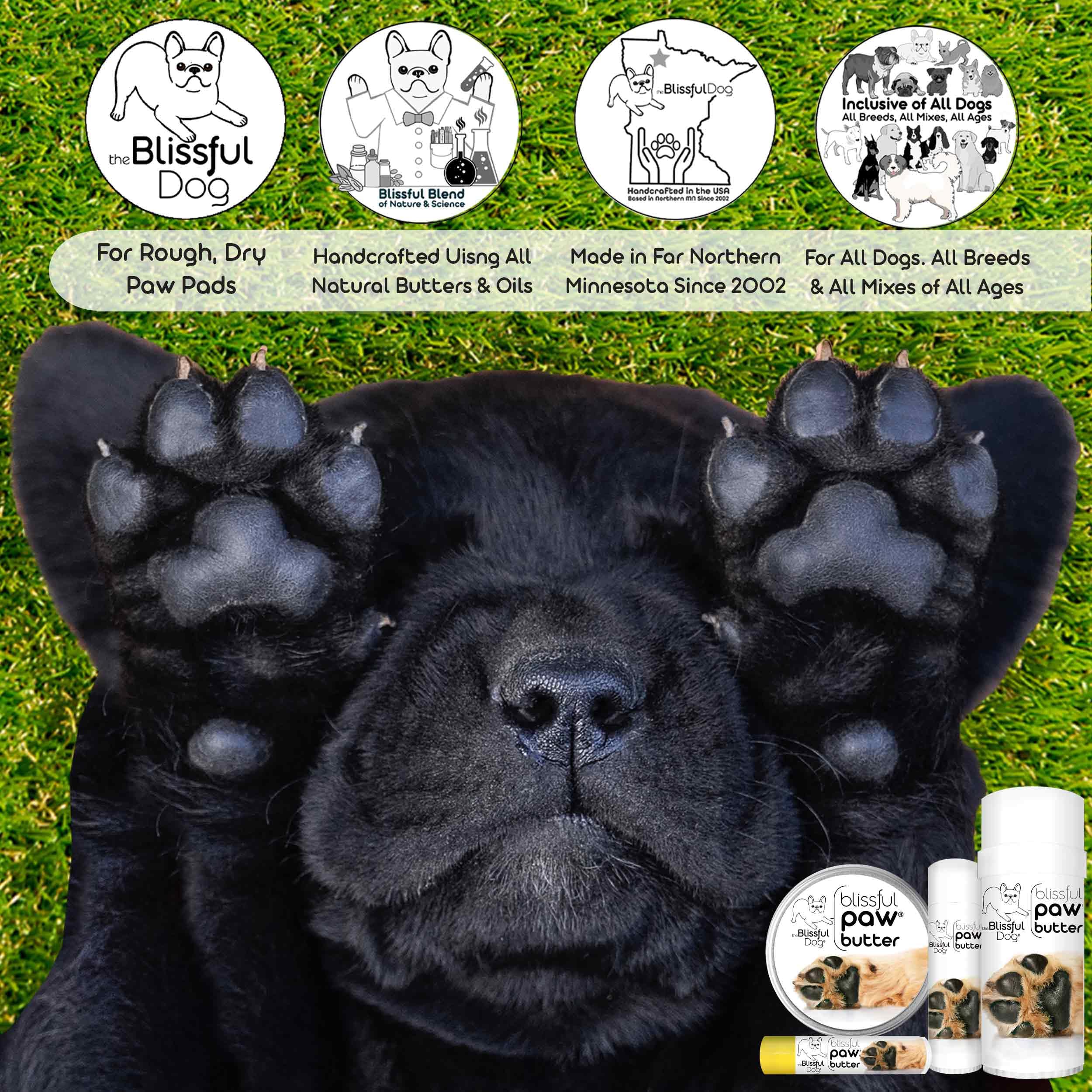 The Blissful Dog Paw Butter, Moisturizer for Dry Paw Pads, Softens and Protects a Rough Paw in Winter, Versatile, Lick-Safe Dog