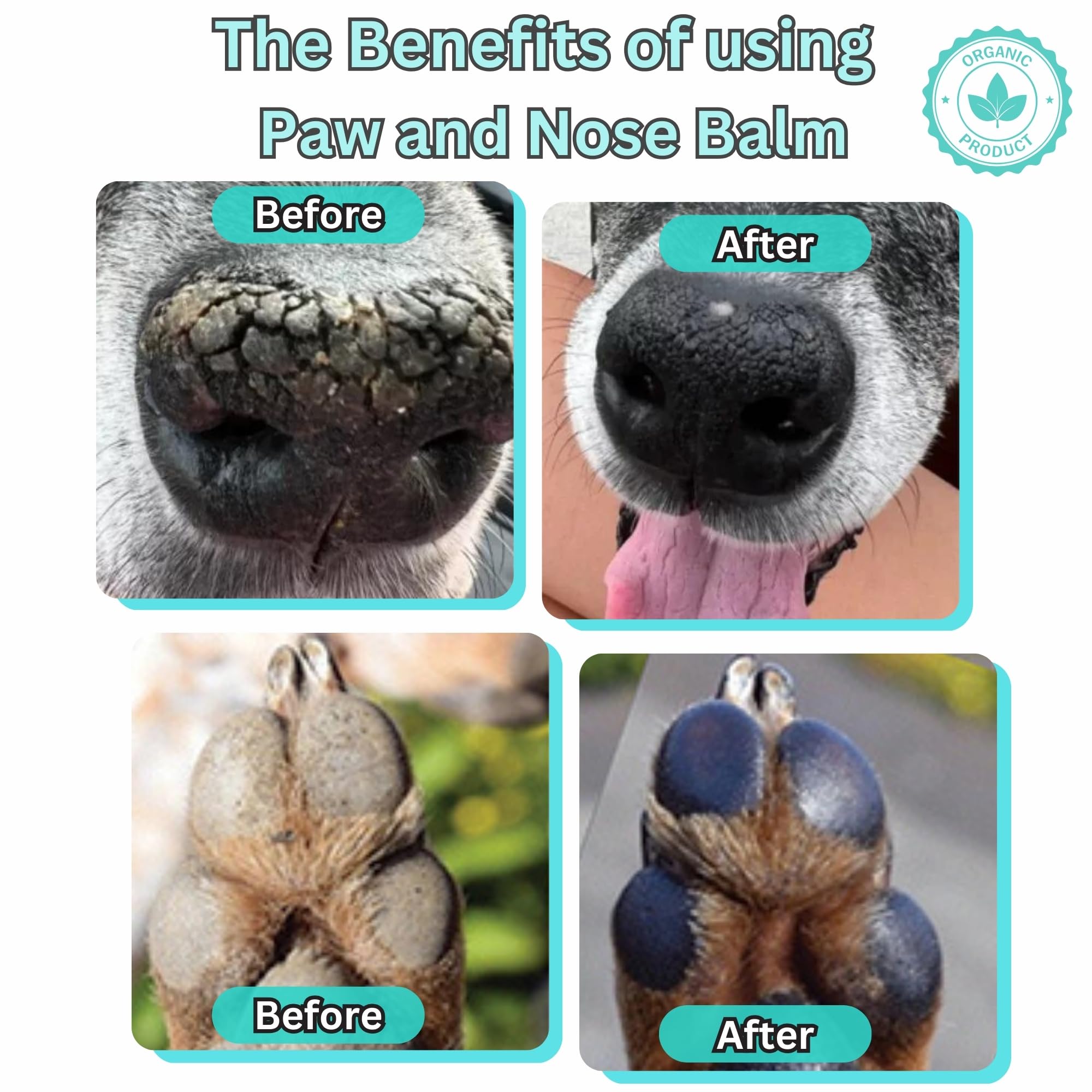ZepetZ - Lick-Safe Organic Paw & Nose Balm for Dogs & Cats - 100% Natural, Hypoallergenic & Vegan - Heals, Protects & Restores D