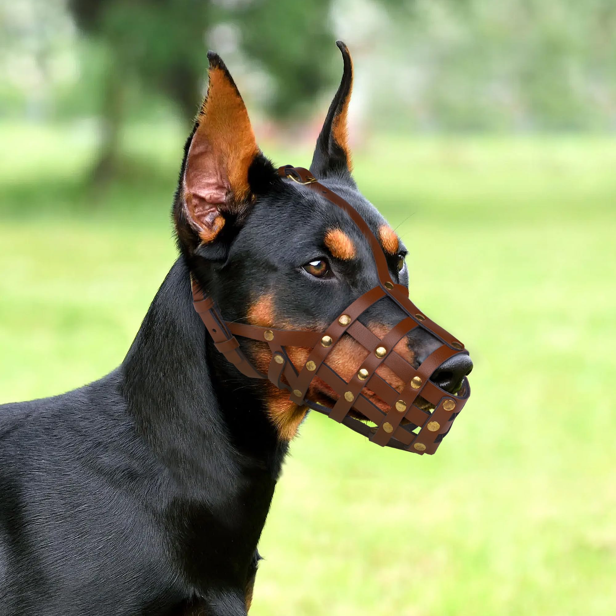 Oopsdoggy Doberman Dog Muzzle For Large Dogs - Leather Breathable Secure Basket Muzzle For Large Breeds Husky German Shepherd Pr