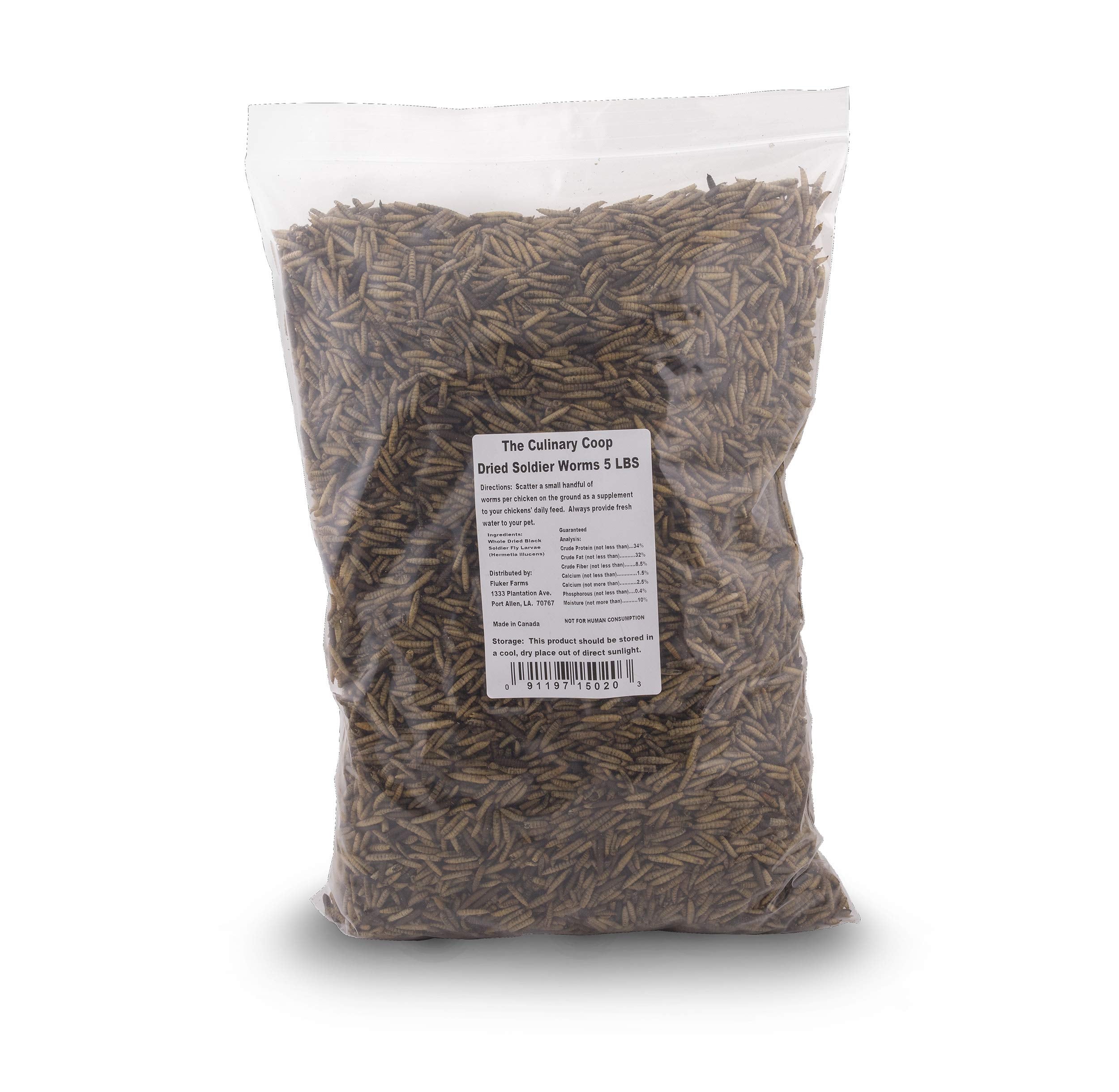 Flukers Culinary Coop Premium Chicken Treats, Dried Soldier Worms, Packed with Protein and Calcium, 100% Natural Rich Grubs for