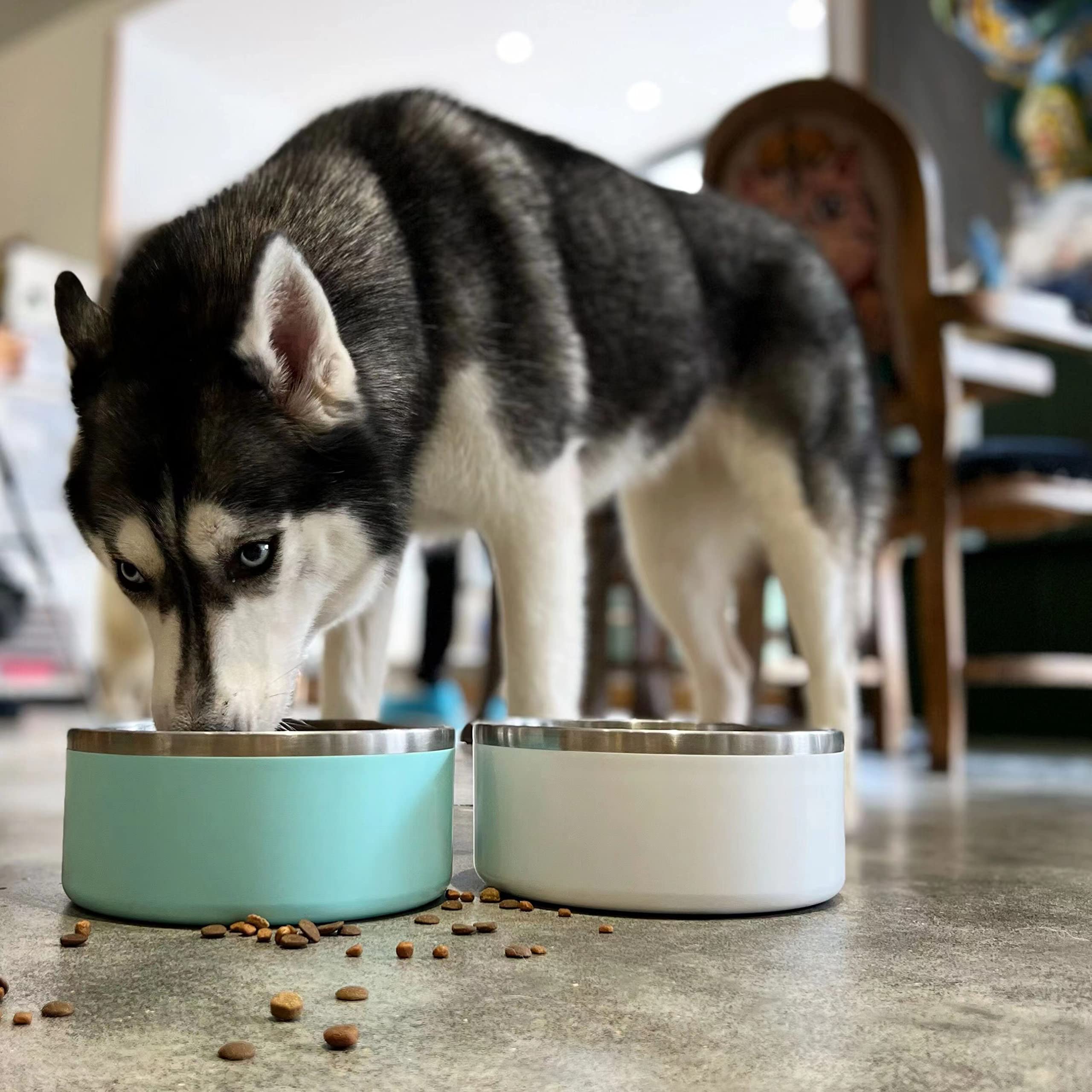 IKITCHEN Dog Bowl for Food and Water, 64 Oz Stainless Steel Pet Feeding Bowl, Durable Non-Skid Double Wall Insulated Heavy Duty