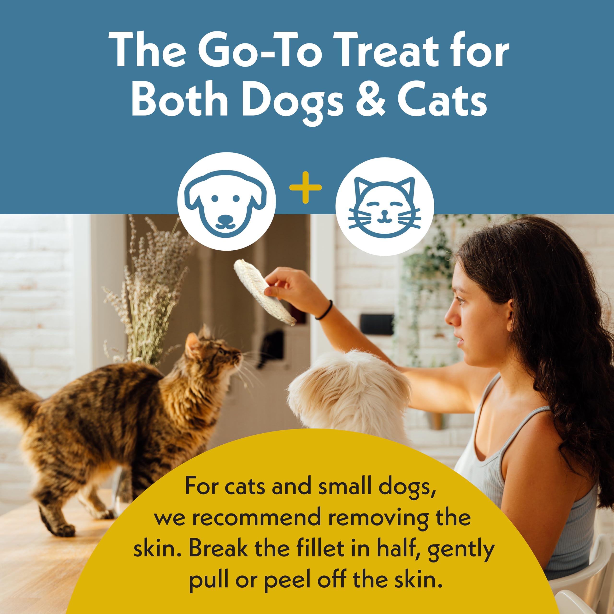 Fresh Is Best - Freeze Dried Healthy Raw Meat Treats for Dogs & Cats - Pacific Whiting Fillets