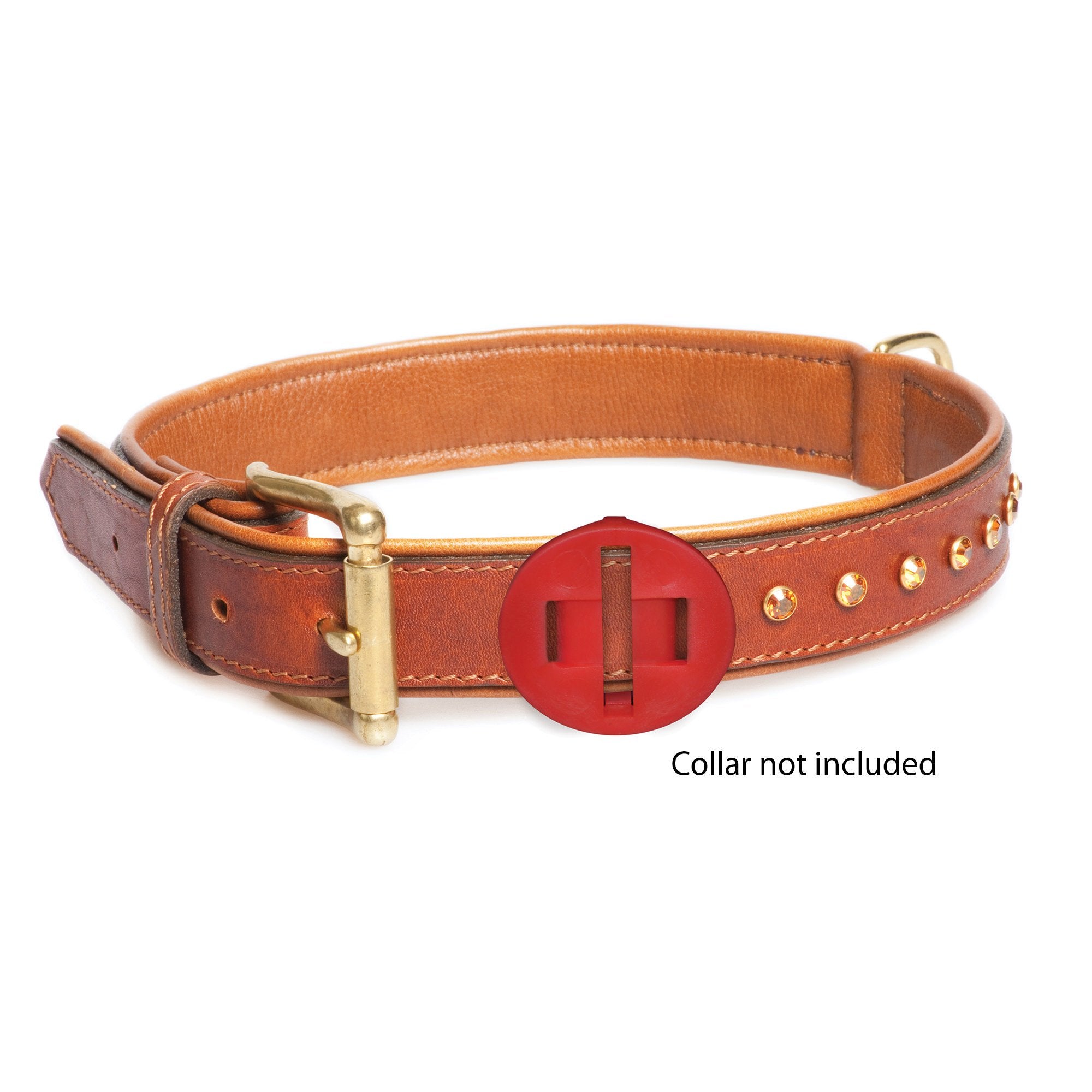 CM CALM PAWS DOG CALMING DISK MED