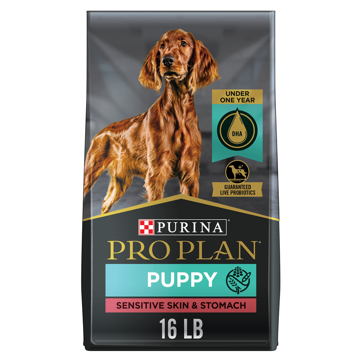 Purina Pro Plan Sensitive Skin And Stomach Puppy Food With Probiotics, Lamb & Oat Meal Formula - 16 Lb. Bag