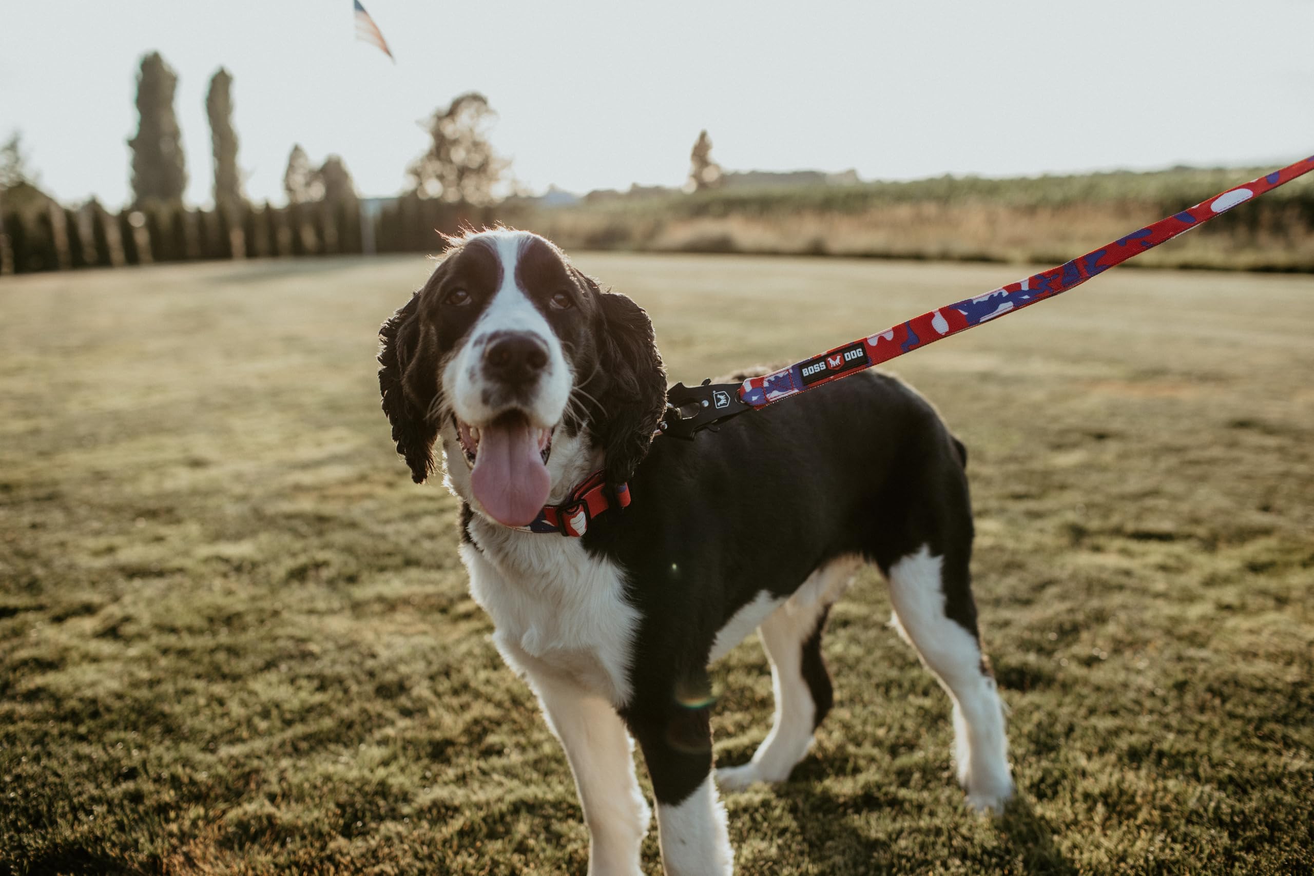 Boss Dog Tactical Leash, Red, White, Blue Camo, 4 Ft
