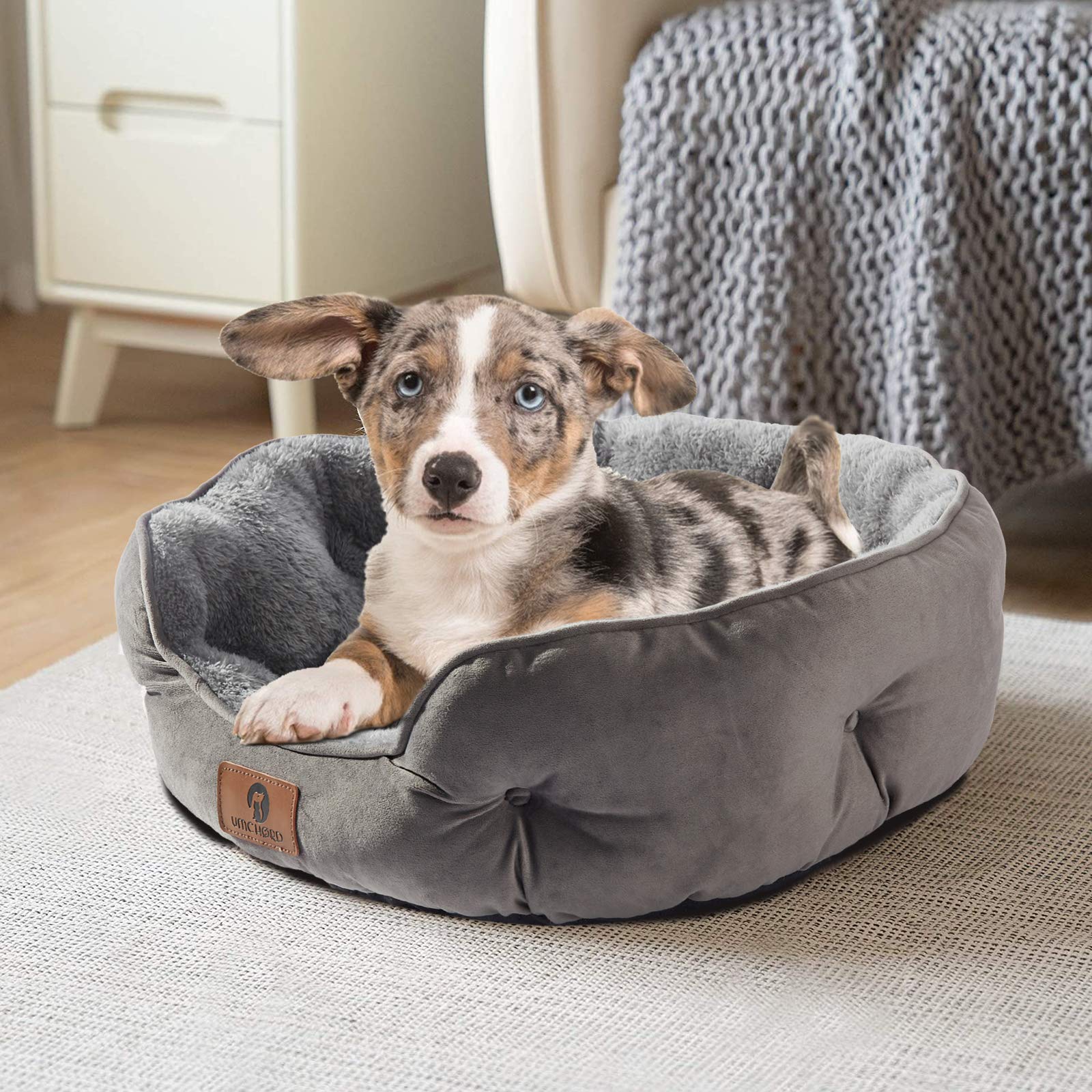 Asvin Medium Dog Bed For Medium Dogs, Cat Beds For Indoor Cats, Pet Bed For Puppy And Kitty, Extra Soft & Machine Washable With Anti-Slip & Water-Resistant Oxford Bottom, Grey, 25 Inches