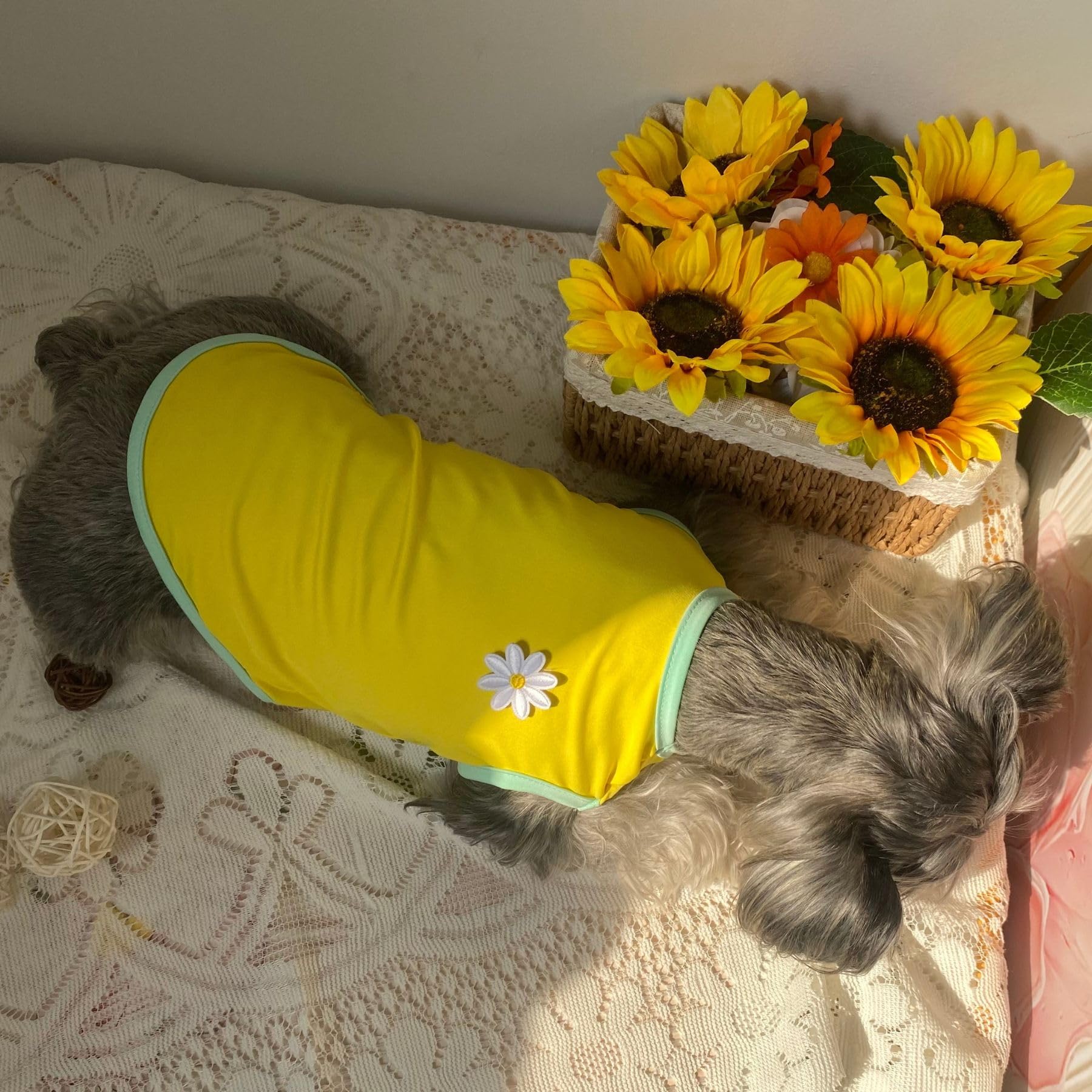 2Pcs Flower Printed Summer Dog Shirts For Small Medium Pet T Shirt Girl Boy Clothes Soft Breathable