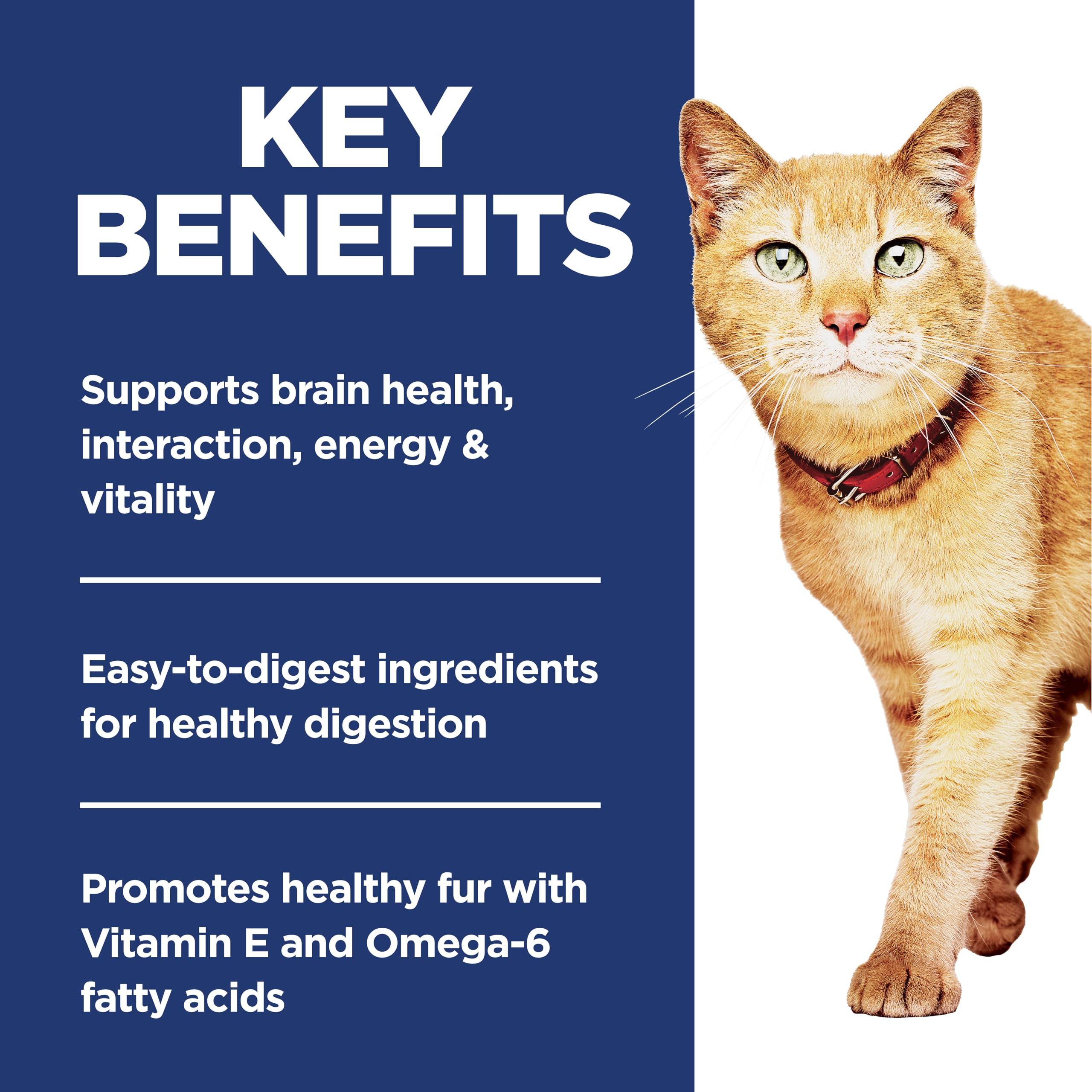 Hills Science Diet Senior Vitality, Senior Adult 7+, Senior Premium Nutrition, Dry Cat Food, Chicken & Rice, 6 lb Bag