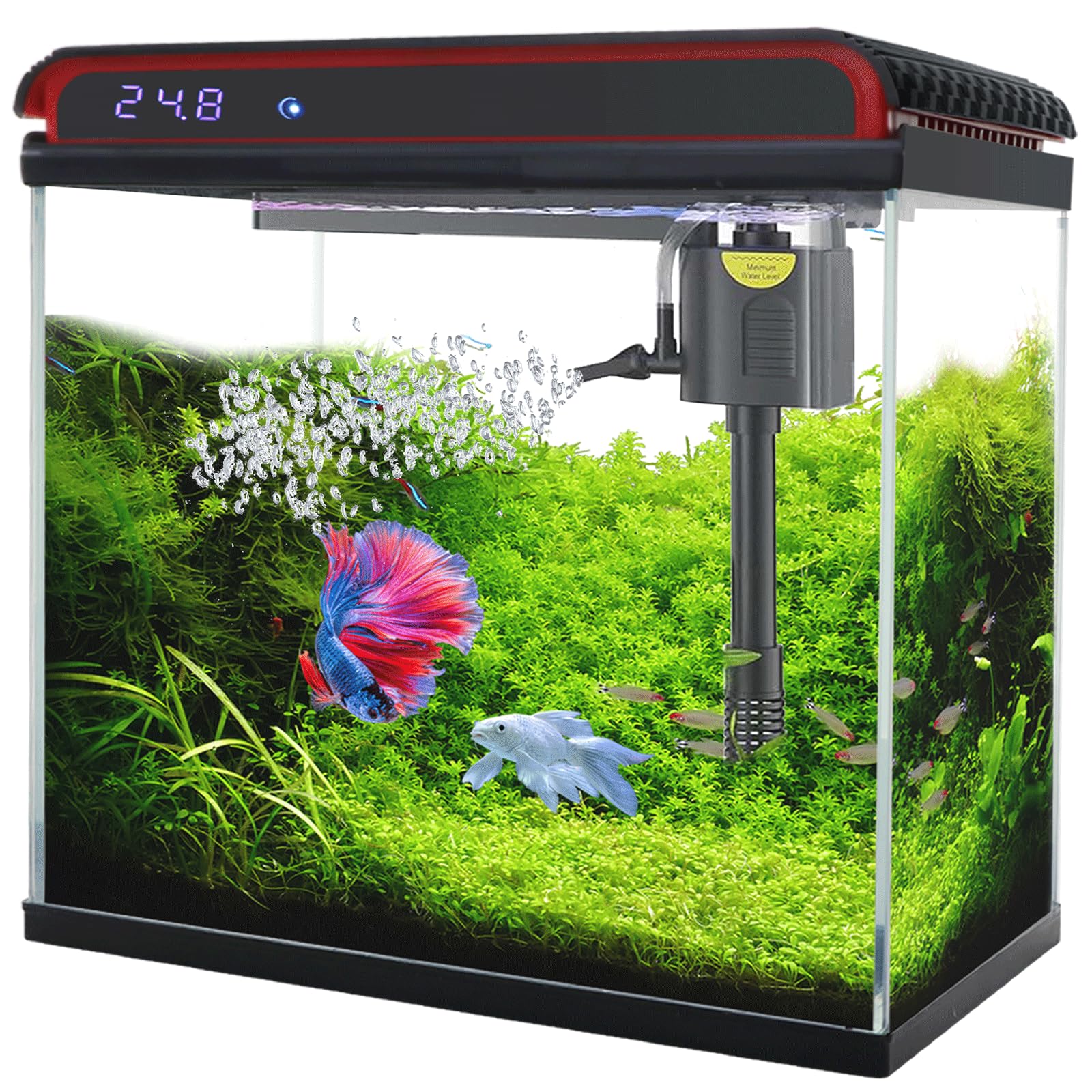 20 Gallon Fish Tank, Betta Fish Tank Large Aquarium Turtle Tank Starter Kits Self Cleaning With 3 Types Of Led Lights And Filter