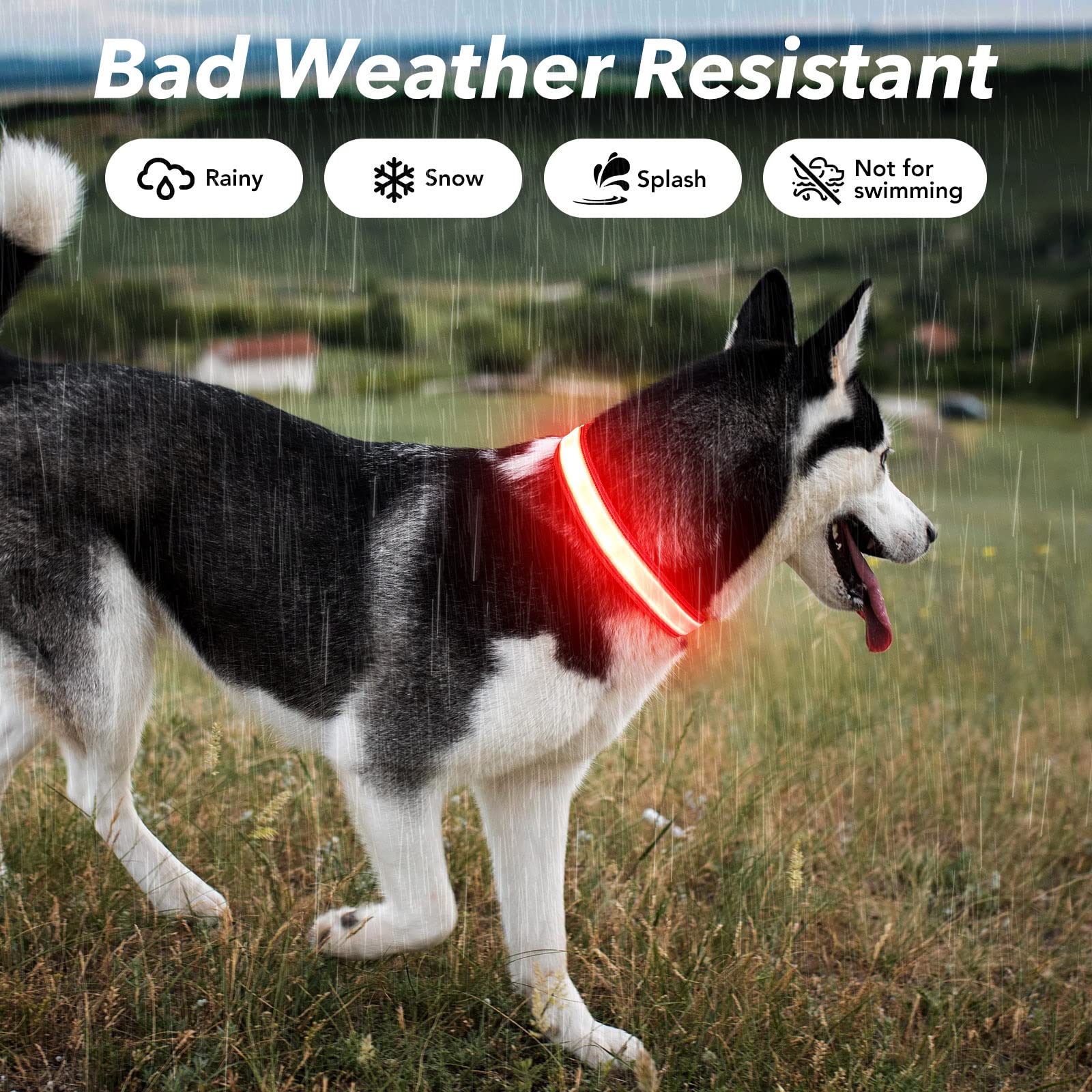 Visinite Light Up Dog Collar, Reflective Led Dog Collar, Adjustable Lighted Dog Collars Rechargeable Waterproof, Bright Dog Glow Collar For Pet Safety At Night Walking, Fit Large Medium Dogs