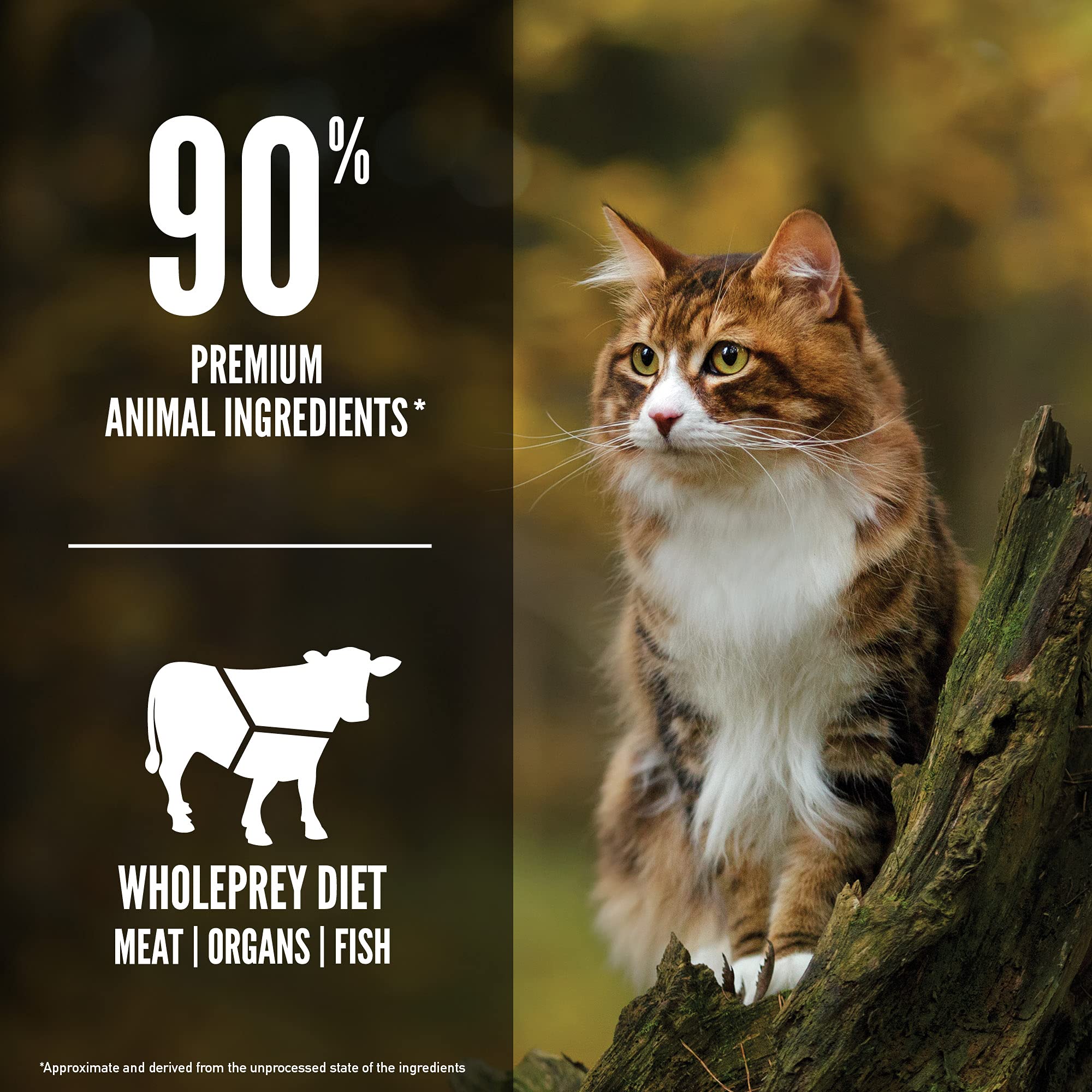 ORIJEN Grain Free High Protein Premium Dry Cat Food Regional Red Recipe 12lb Bag