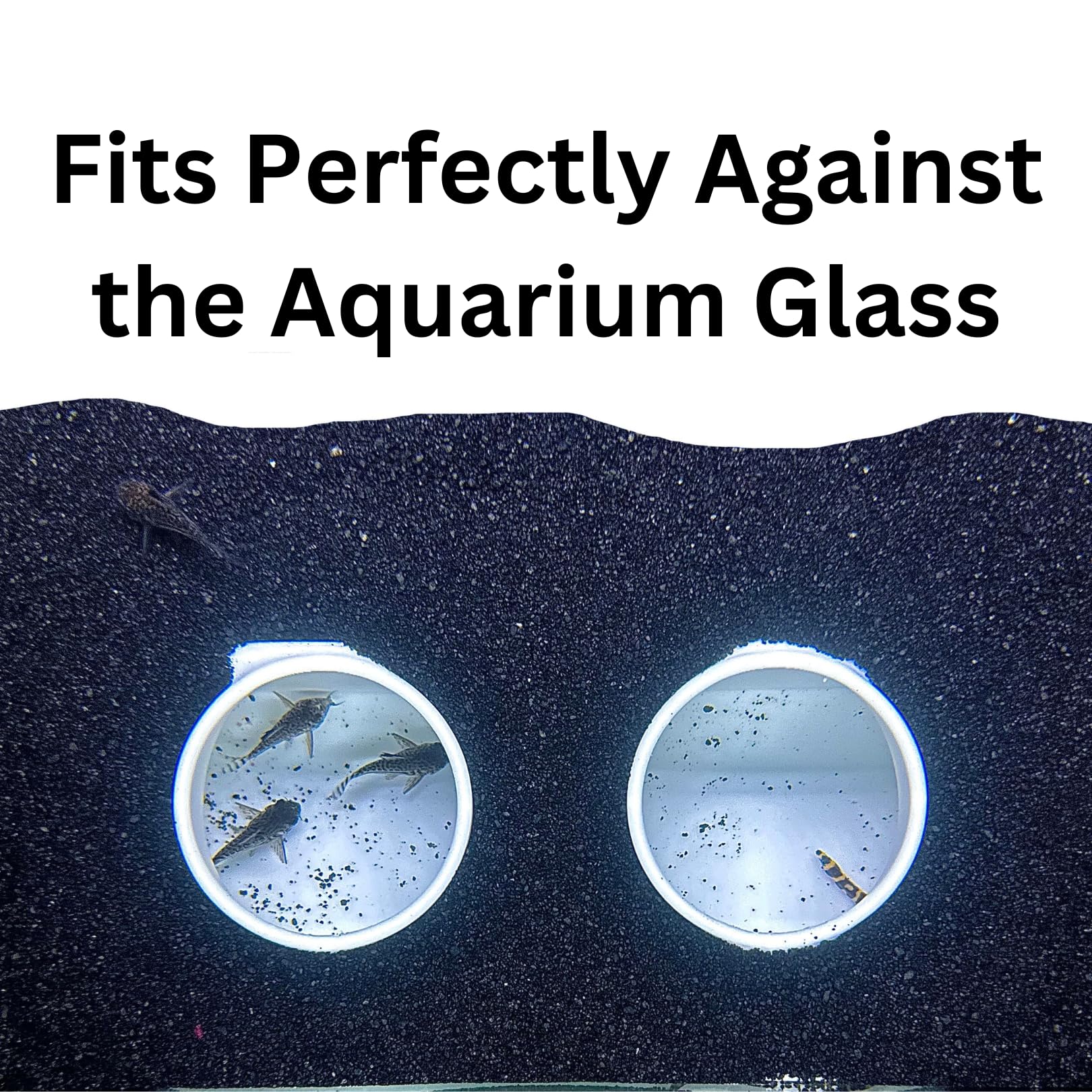 Aquarium Underground Tunnel Cave Natural Curve Two Hole | Viewing Fish & Shrimp Under Gravel Tunnel | Fish Tank Decor Decoration