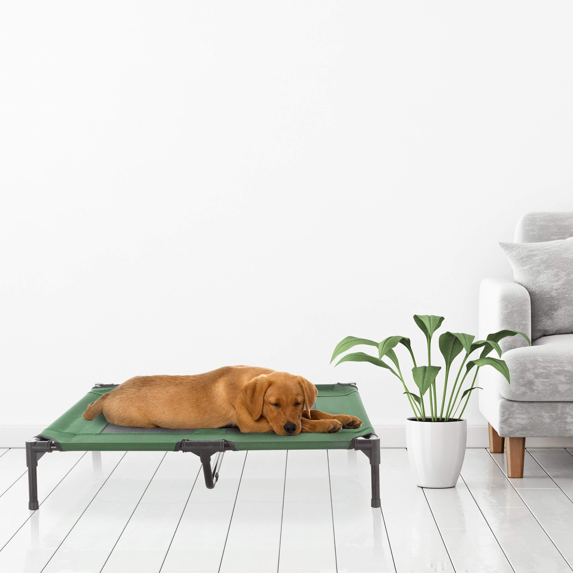 Elevated Dog Bed - 36X29.75 Portable Bed For Pets With Non-Slip Feet - Indoor/Outdoor Dog Cot Or Puppy Bed For Pets Up To 80Lbs By Petmaker (Green)
