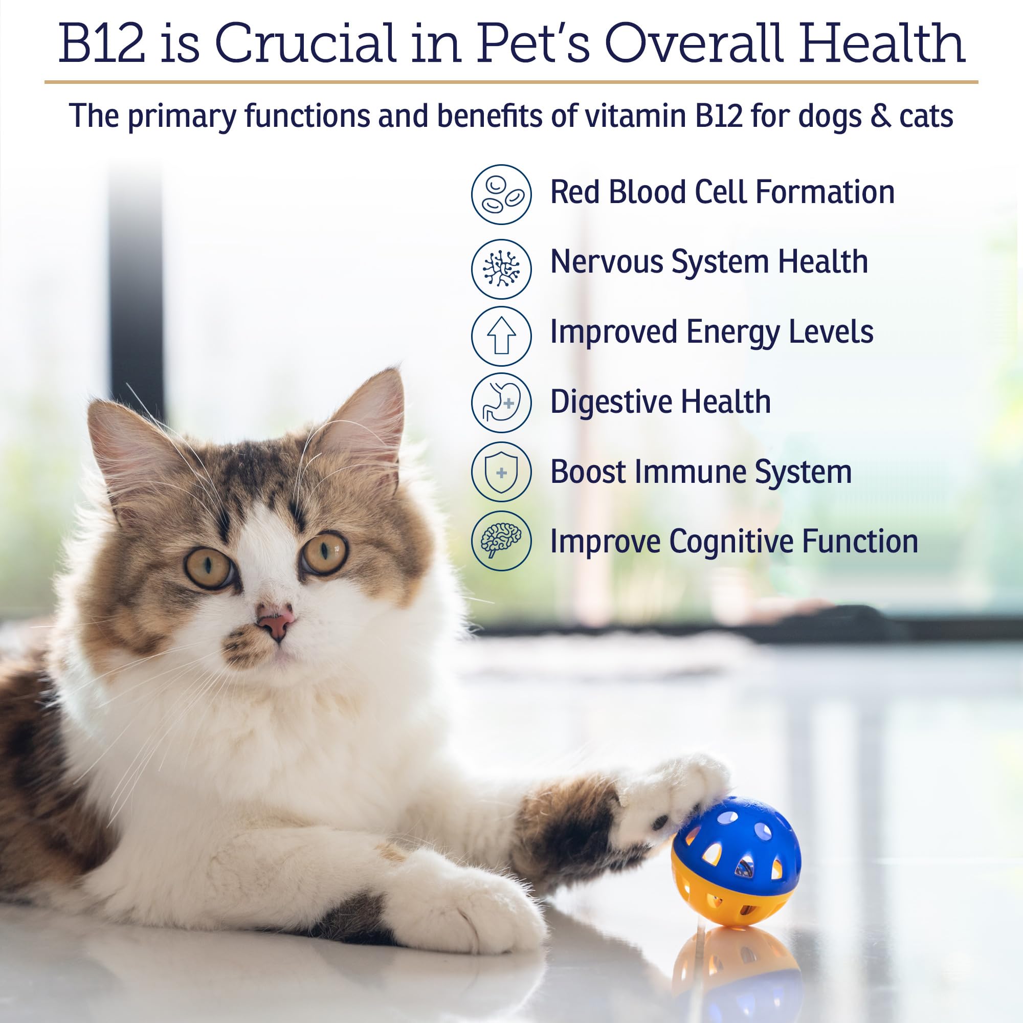 RX Vitamins B12 for Dogs and Cats - Dog Digestive Support for Improved Metabolic Process - Pure B12 for Cats to Support Nervous