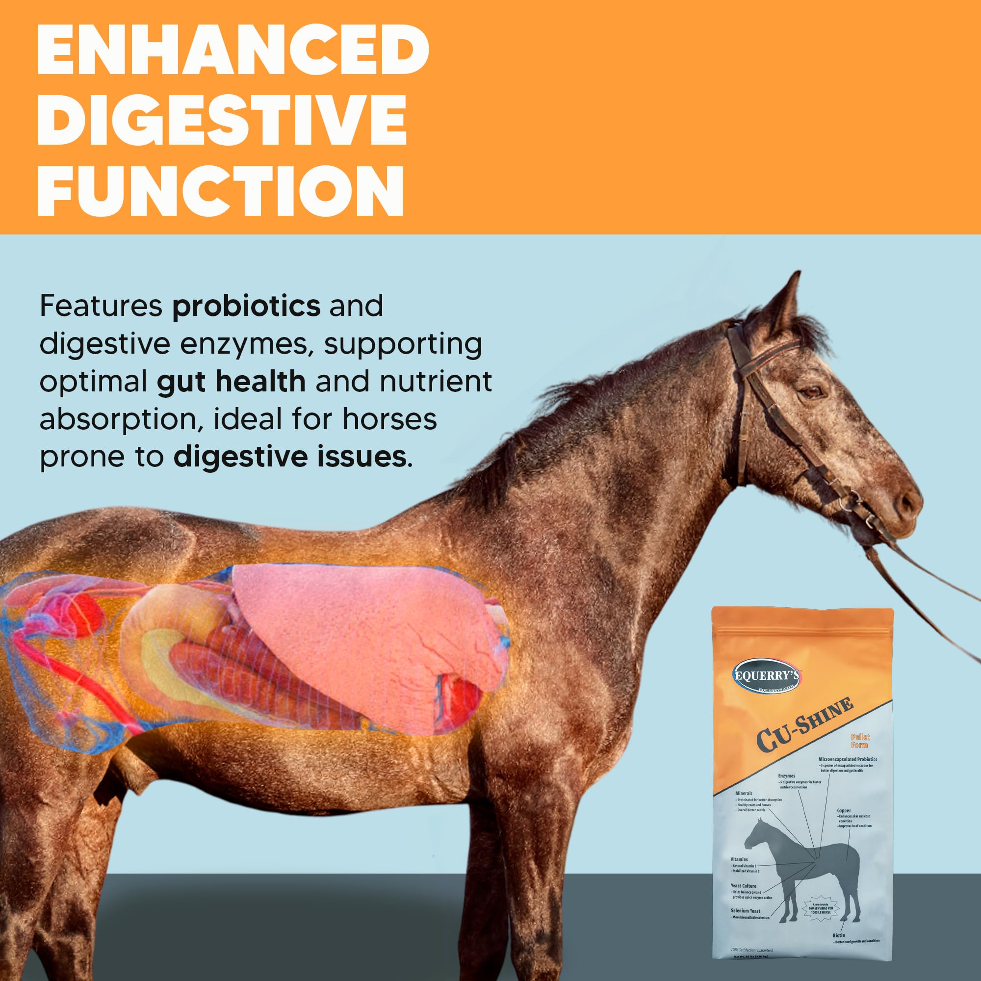 Equerrys Cu-Shine Total Horse Health Pellet Supplement, Horse Probiotics, Biotin for Radiant Coat, Digestive Supplements for Co