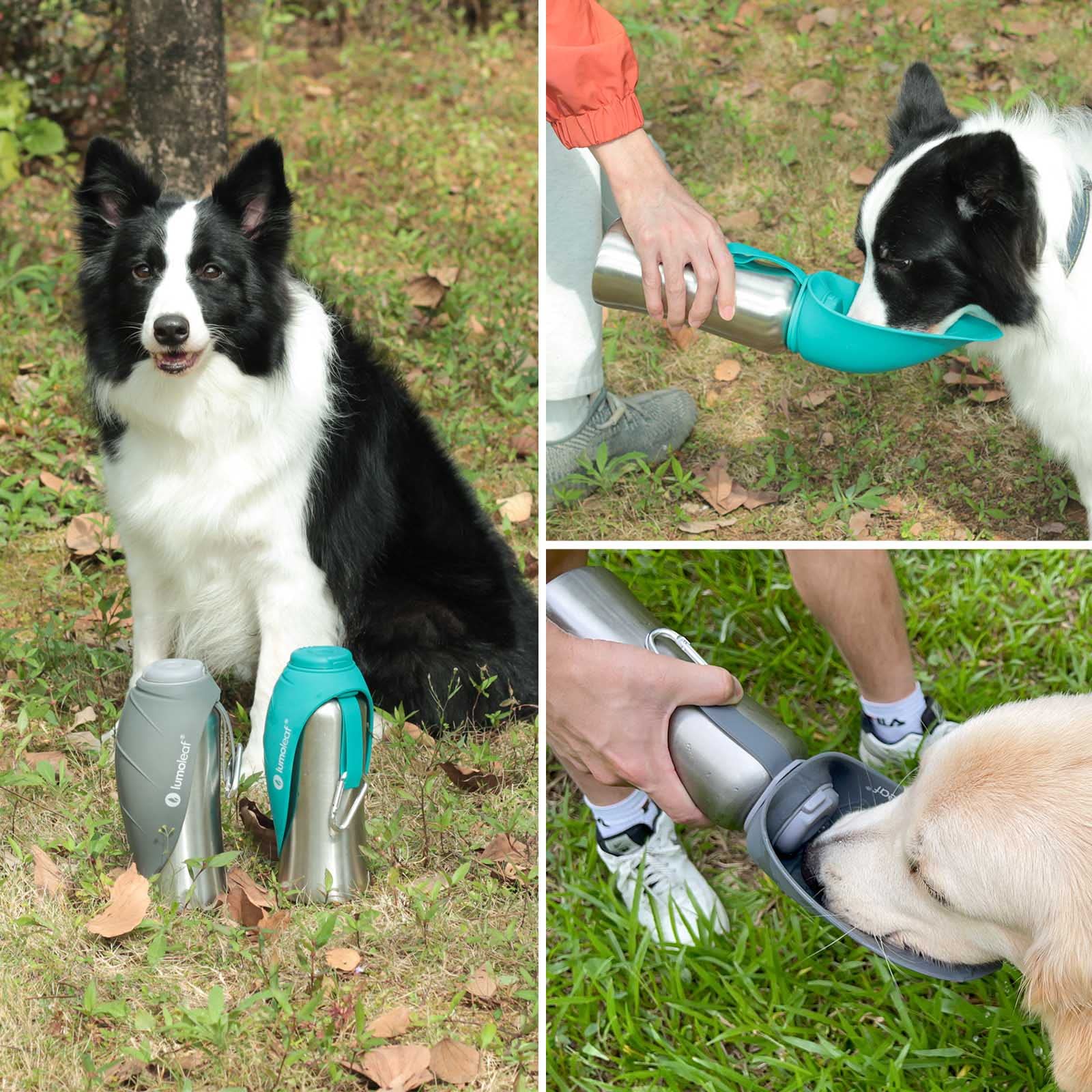 LumoLeaf Portable Dog Water Bottle 27oz - Stainless Steel Dispenser for Large Dogs, Green, Model LLDWB27B