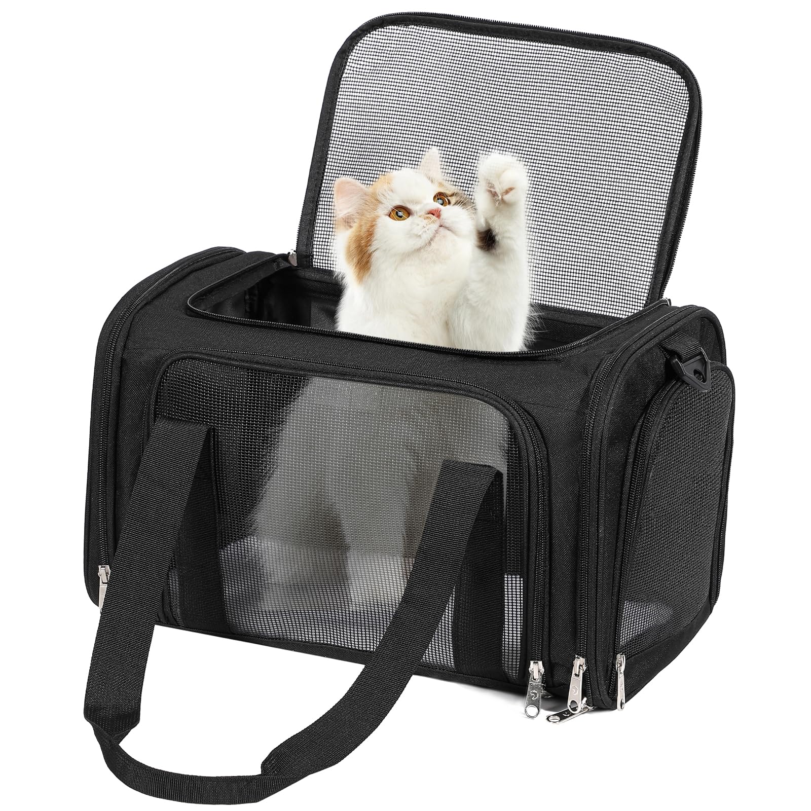 Discala Cat Dog Carrier Up To 15 Lbs Tsa Airline Approved Pet Carrier For Small Medium Cats Puppies Dog Carriers For Small Dogs 