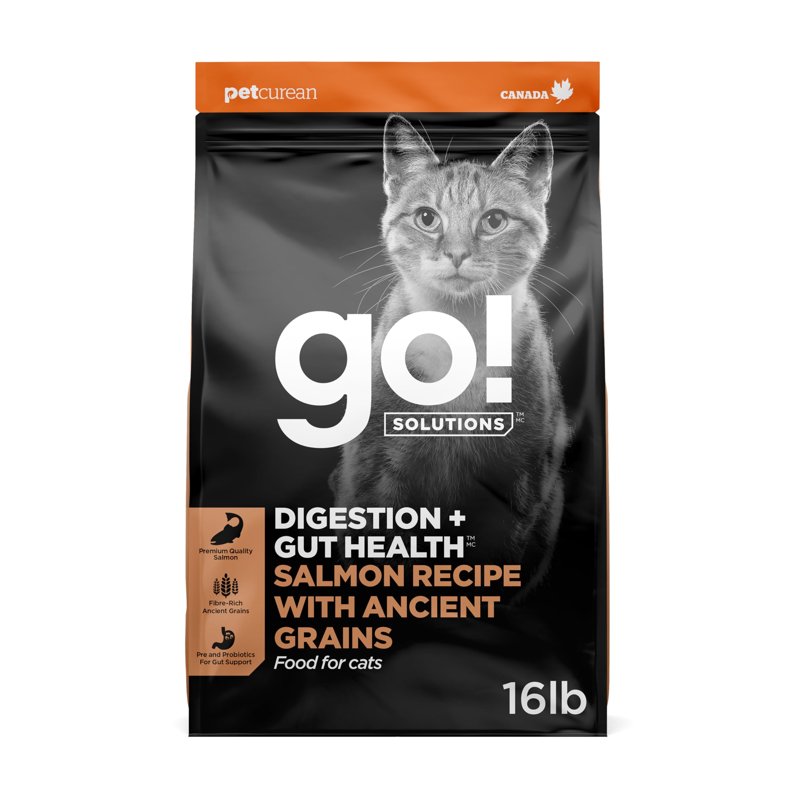 Go! Solutions Digestion + Gut Health Salmon Dry Cat Food, 16 lb