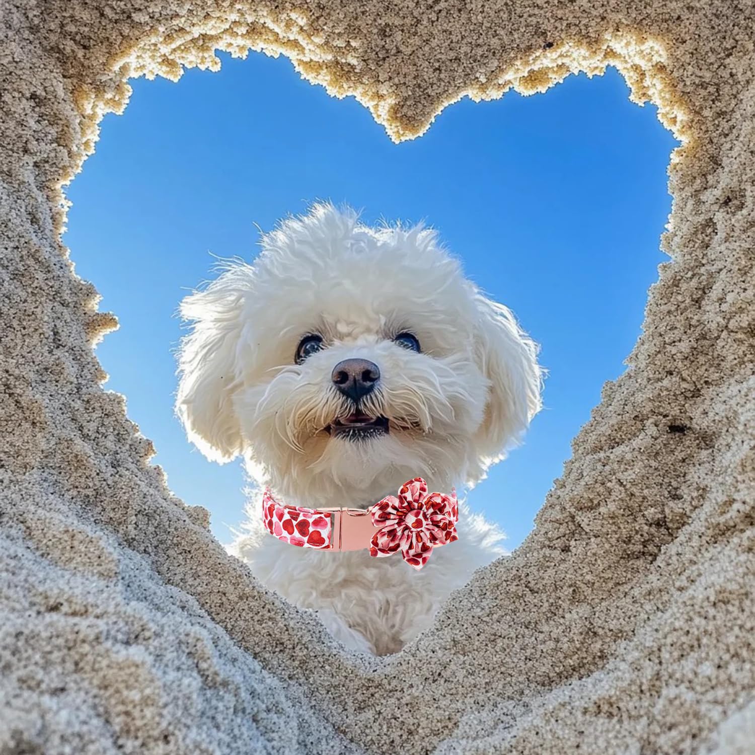 Maca Bates Valentine Dog Collar With Flower Bow Tie Love You Sweet Heart Dogs Collars Red Soft Adjustable Collor With Flowers Bo