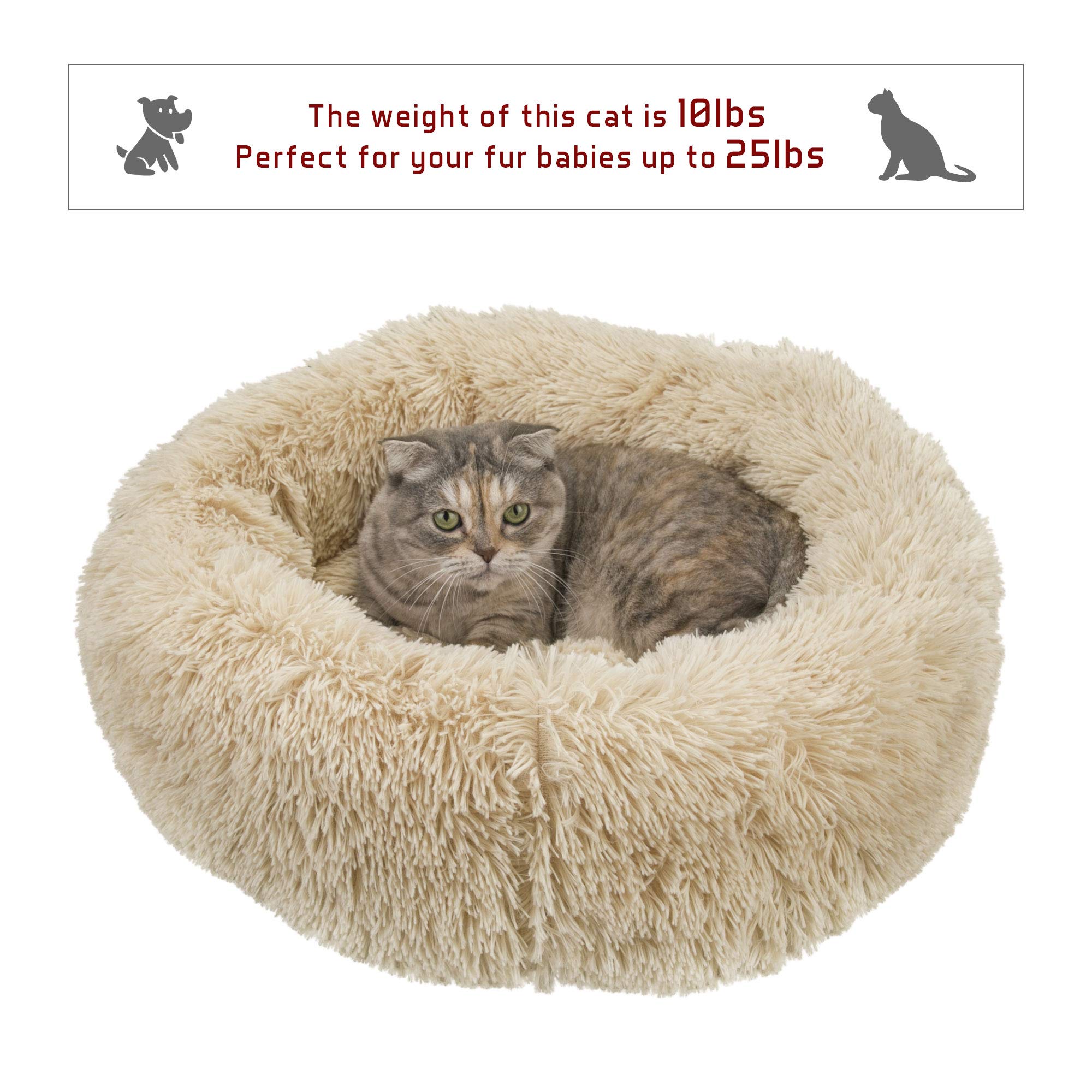Qucey Calming Cat Beds for Indoor Cats, Anti Anxiety Round Fluffy Plush Faux Fur Cat Bed, Washable 23 inches Small Dog Bed & Cat