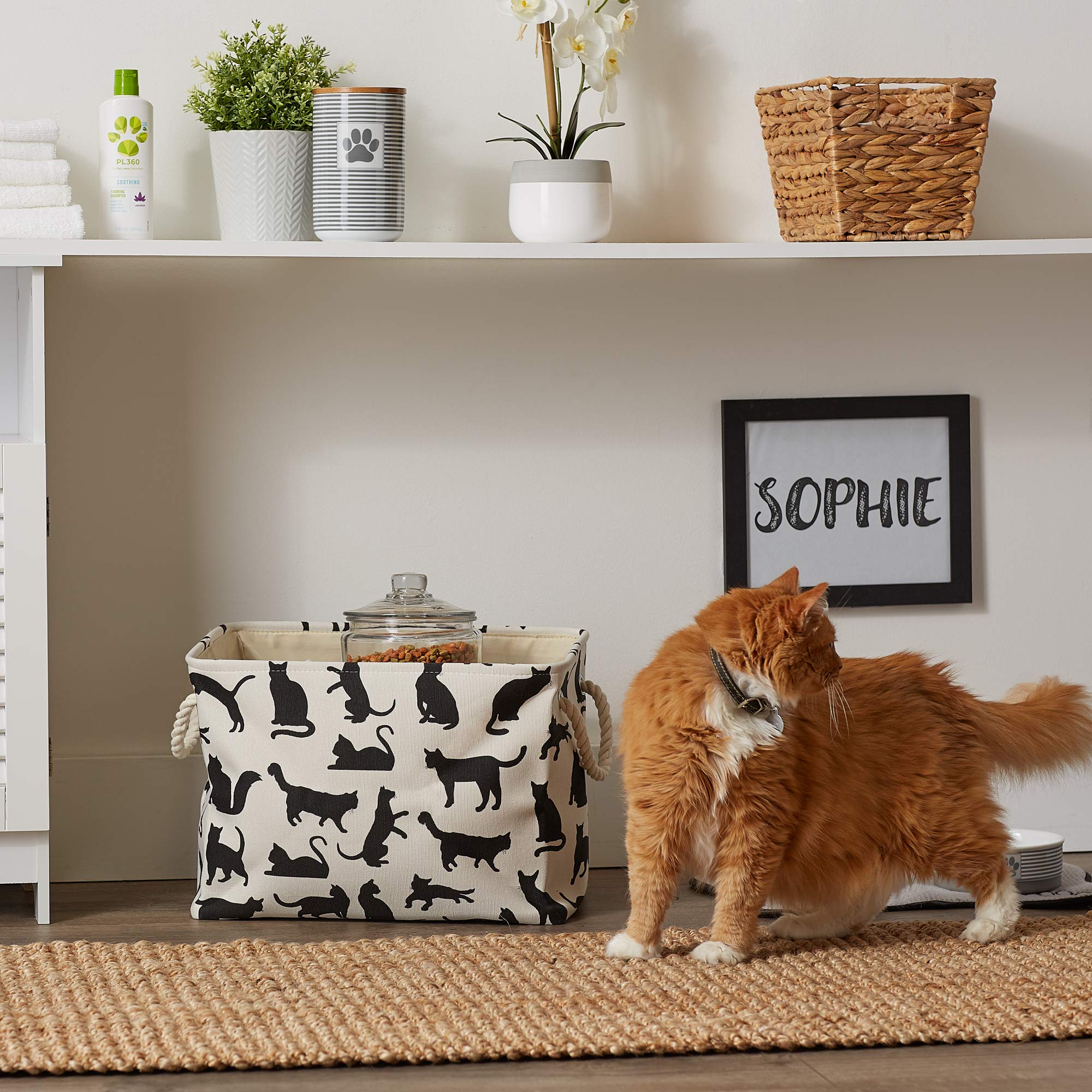 BONE DRY Pet Storage Collection Collapsible Bin with Soft Rope Handles, Small Rectangle, 14x8x9, Cats Meow Print