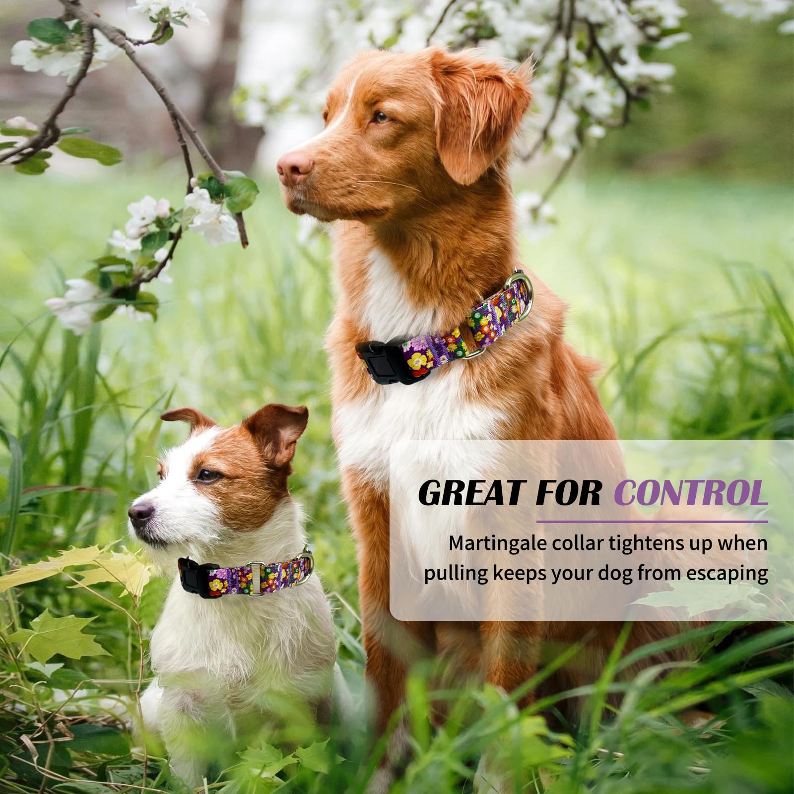 Hikiko Martingale Collar For Dogs Cute Floral Dog Collar For Small Medium Large Dogs Special Design Fancy Dog Collars For Girl B