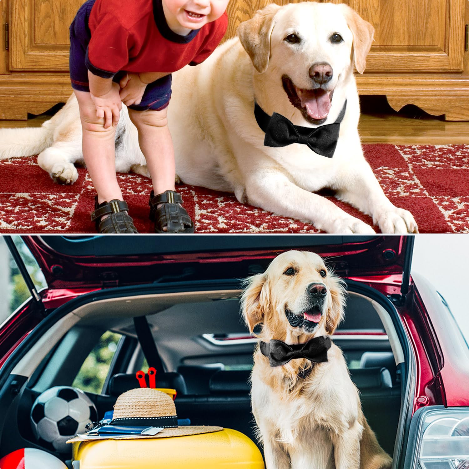 Segarty Dog Wedding Outfit, Adjustable Black Bowtie Collar For Extra Large Dogs, Durable Dog Neck Tie Tuxedo Comfortable Pets Gr