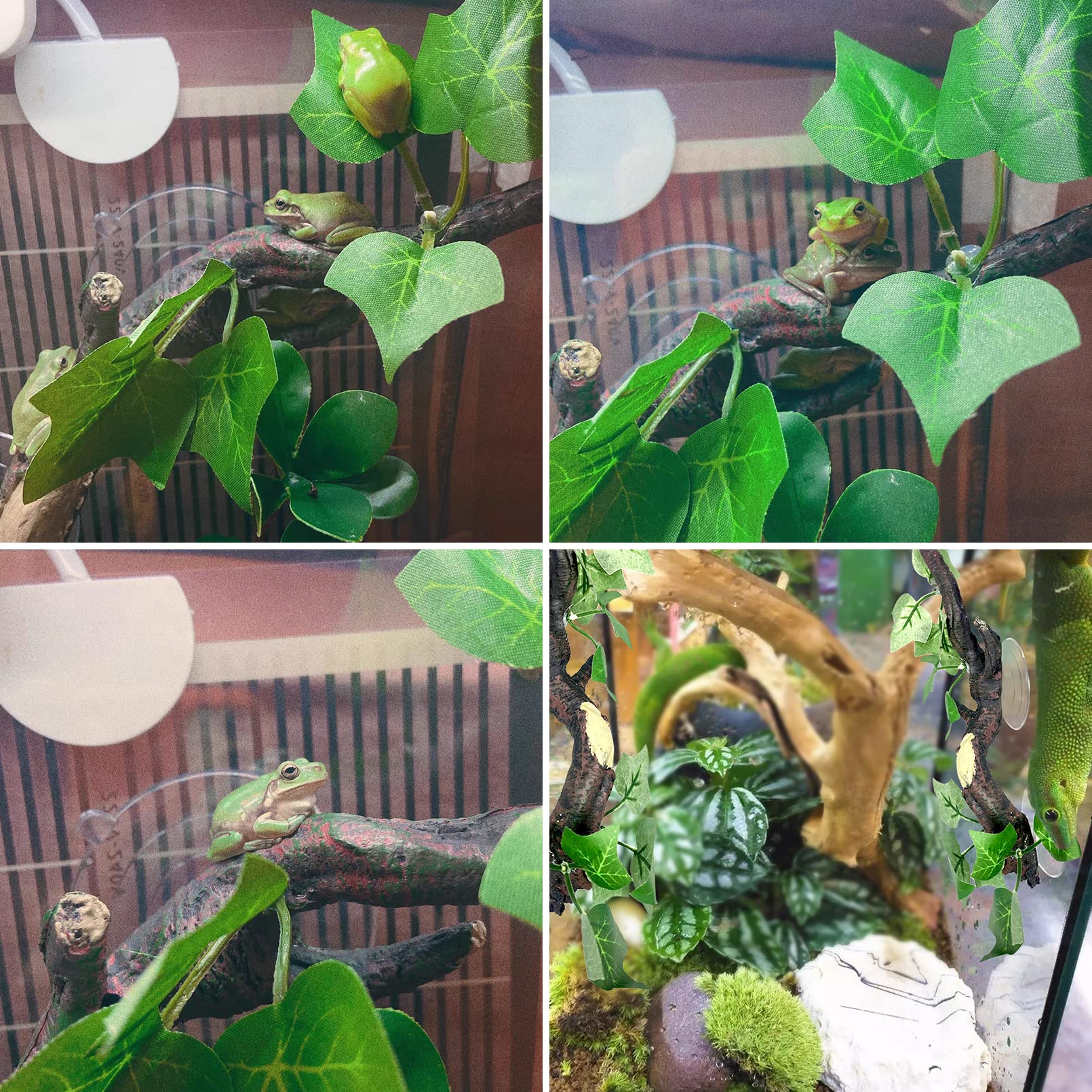 Fhiny 2 PCS Reptile Corner Branch, Resin Climb Tree Branch Decor with Leaves Tank Accessories Terrarium Plant Ornament with Suct