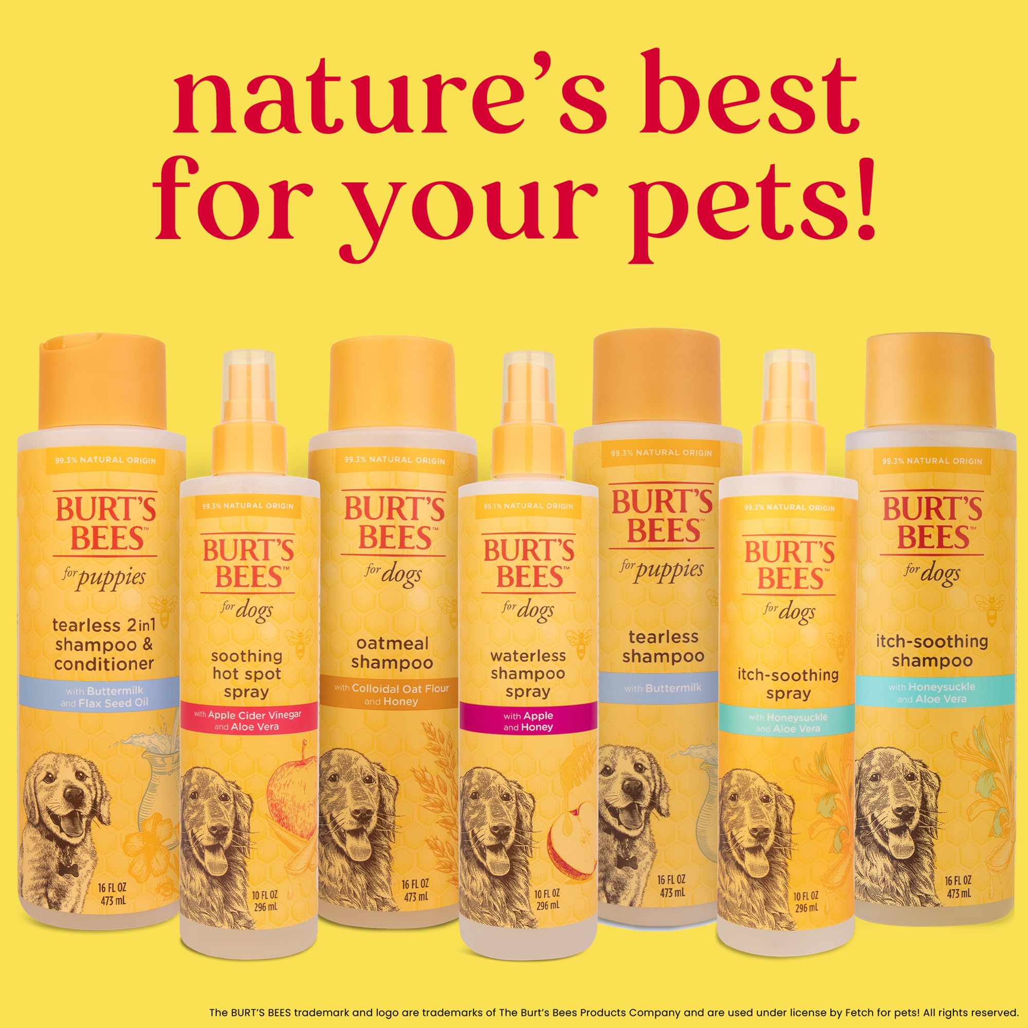 Burt'S Bees For Pets Oatmeal Dog Shampoo | With Colloidal Oat Flour & Honey | Moisturizing & Nourishing, Cruelty Free, Sulfate & Paraben Free, Ph Balanced For Dogs - Made In Usa, 16 Oz