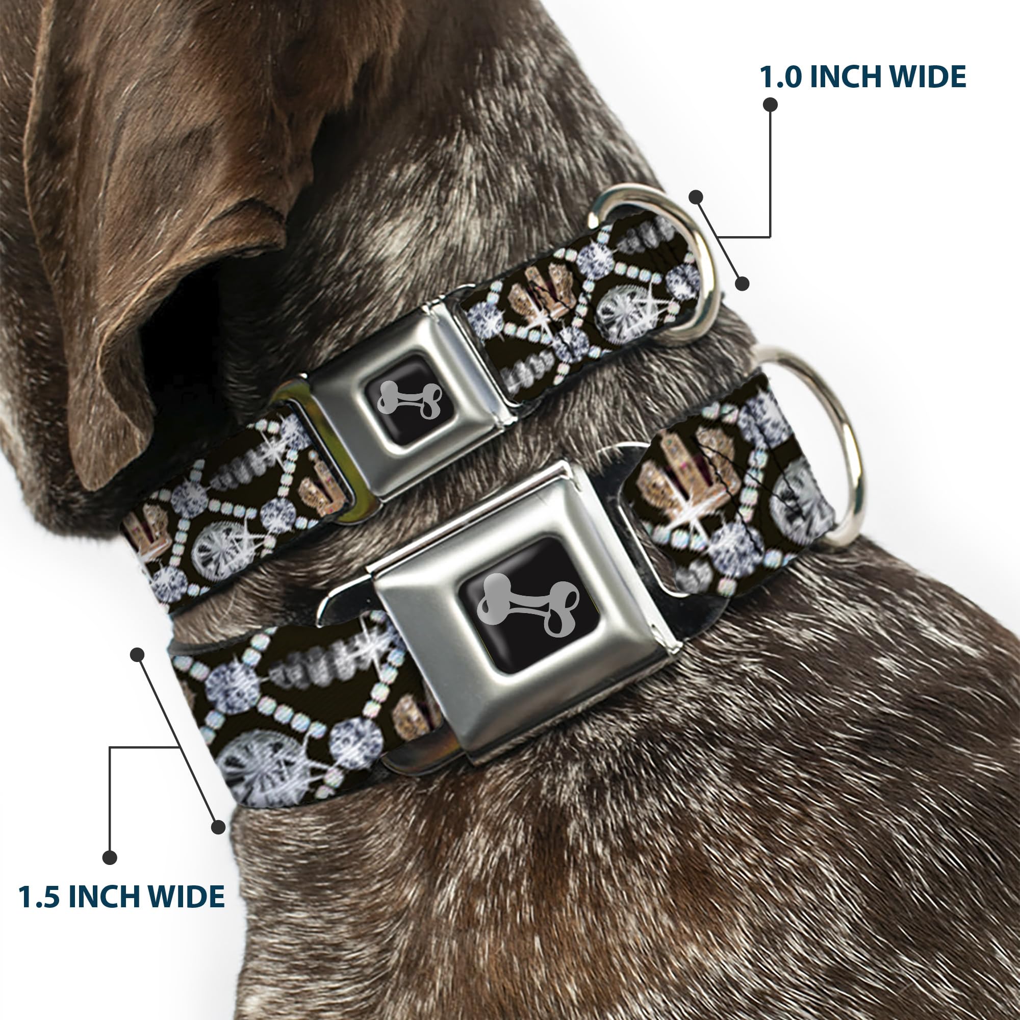 Buckle-Down Seatbelt Buckle Dog Collar - Bling - 1' Wide - Fits 15-26' Neck - Large