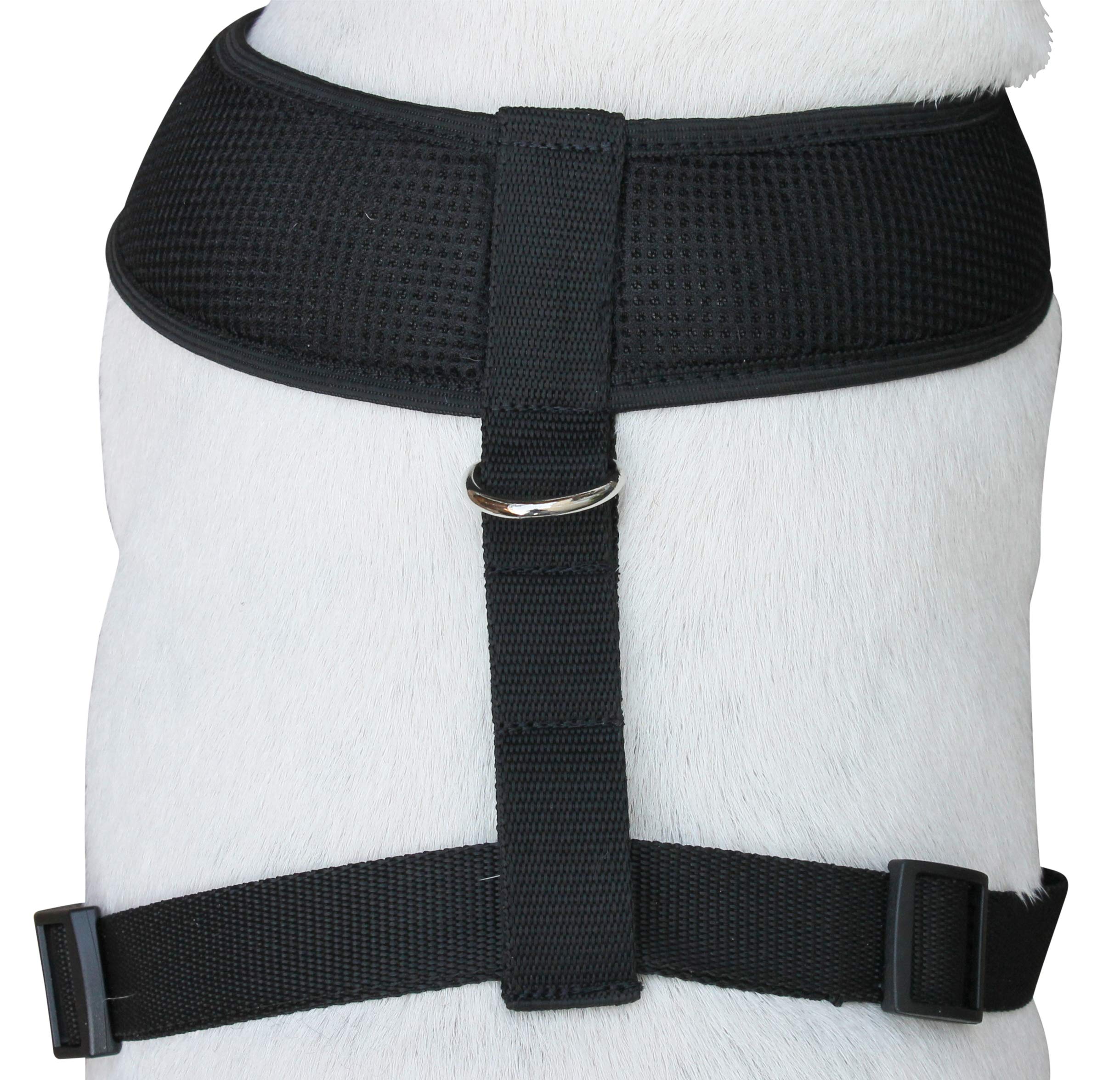 Dogs My Love Soft Mesh Walking Harness For Dogs And Puppies 6 Sizes Black (Xxl (Neck Max: 20''; Chest Girth: 26''-31''))
