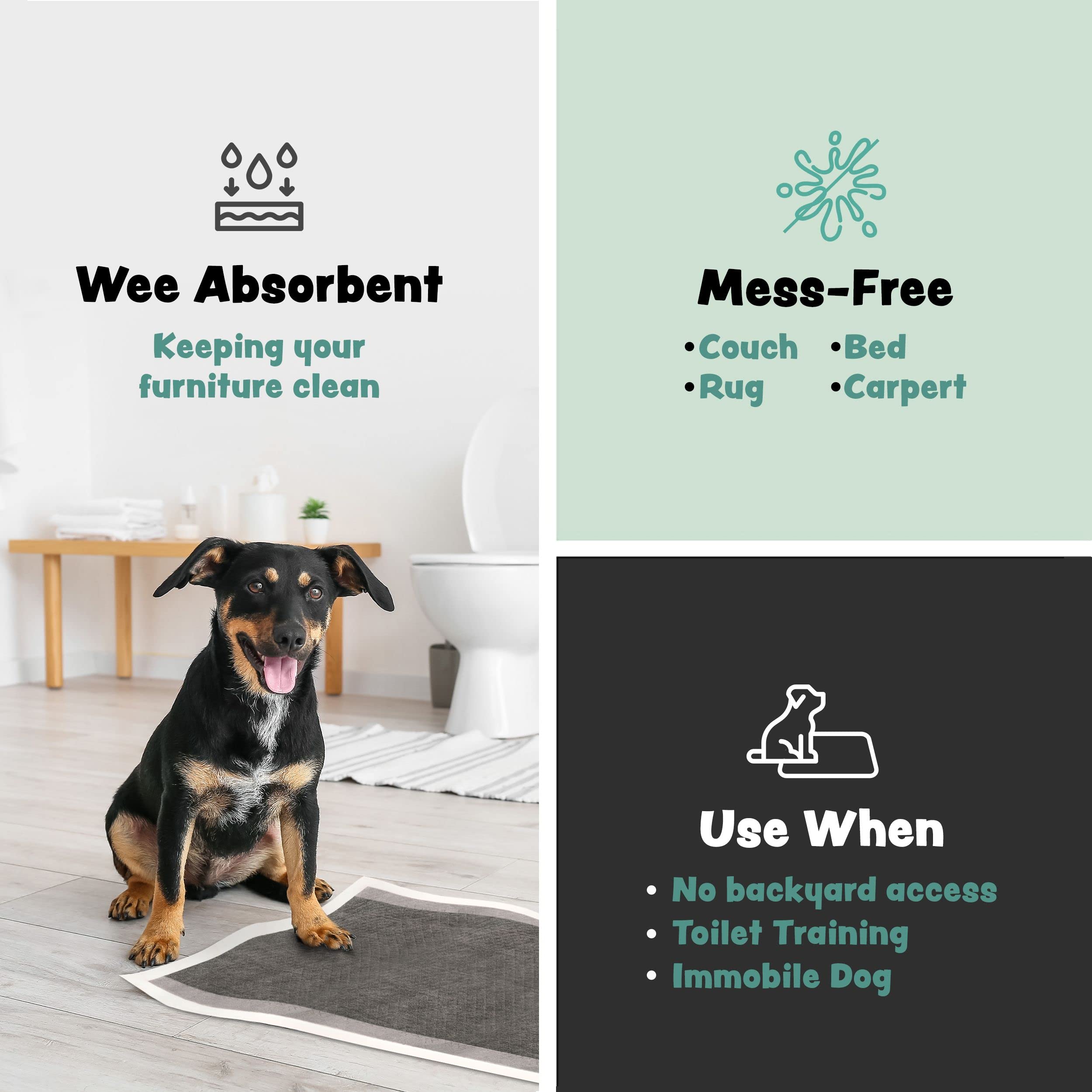 Disposable Puppy Pads Potty Training - 10 Activated Charcoal Pee Pads For Dogs With Attractant - Wee Wee Absorbent, Odor Neutralizer Dog Pads - Five Layered Pet Potty Pads - 36' X 36'