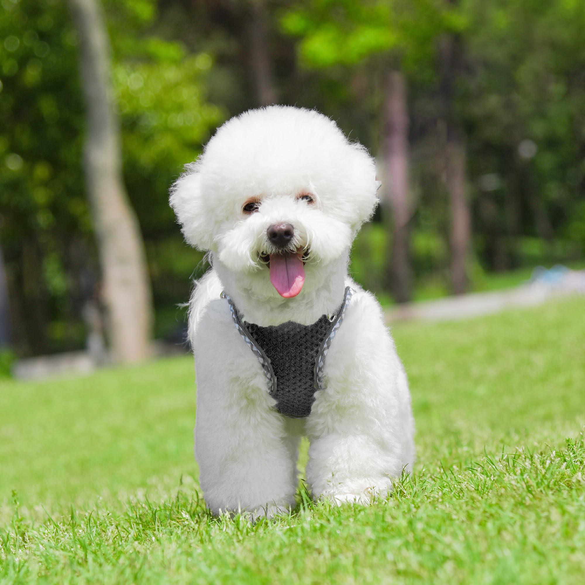 Joypaws Summer Pet Supply No Pull, Step In Adjustable Dog Harness With Padded Vest For Hot Weather, Escape Proof Ultra Thin Soft