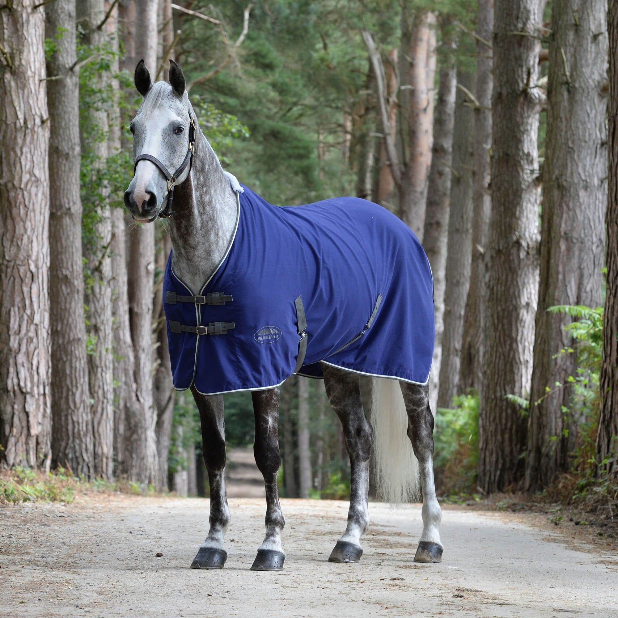 Weatherbeeta Cotton Show Sheet With Surcingles Ii Standard Neck, Dark Blue/Grey/White, 78'