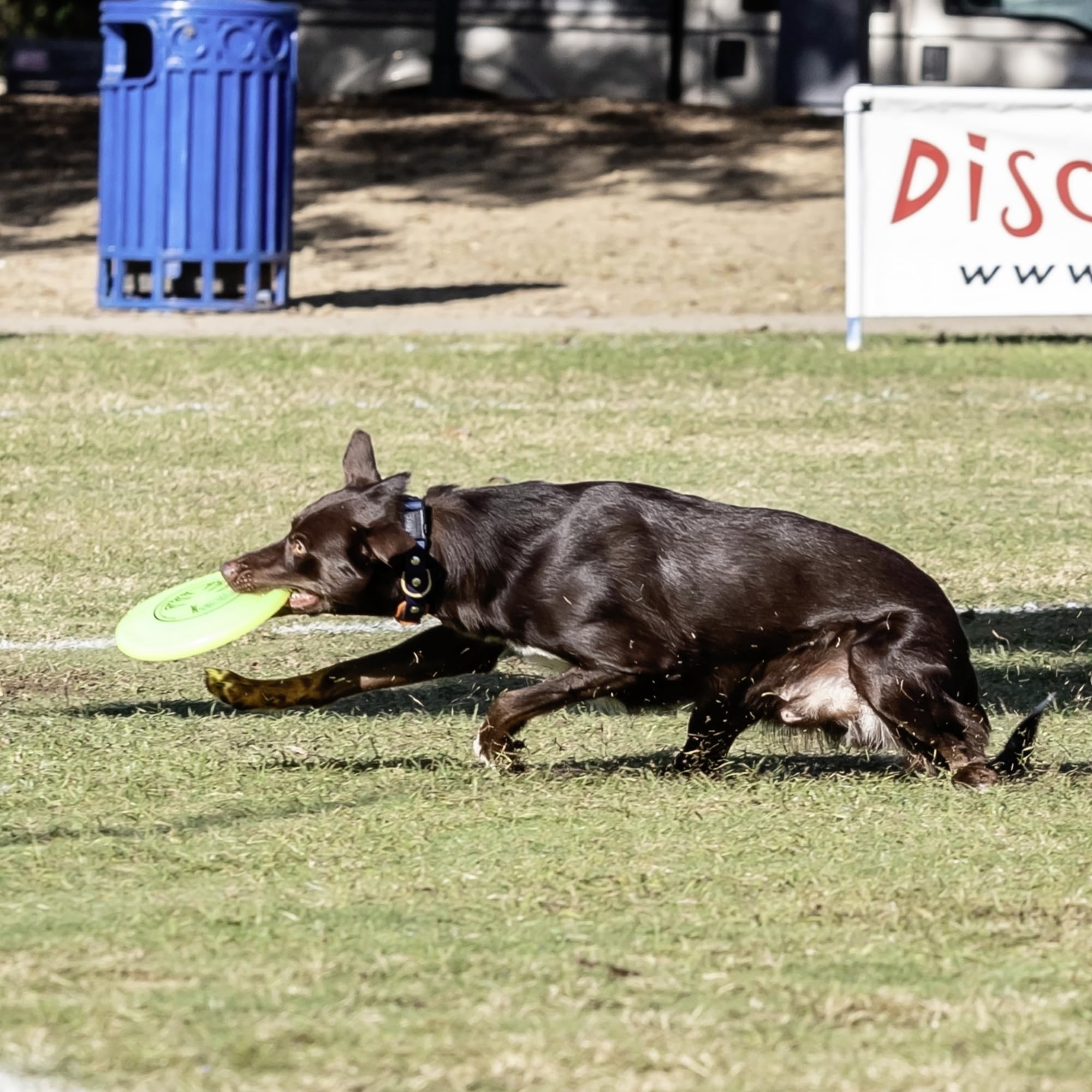 Hyperflite K-10 Jawz Dog Flying Disc  World'S Toughest Canine Competition-Approved Flying Disc  Best Competition Flying Disc Toy