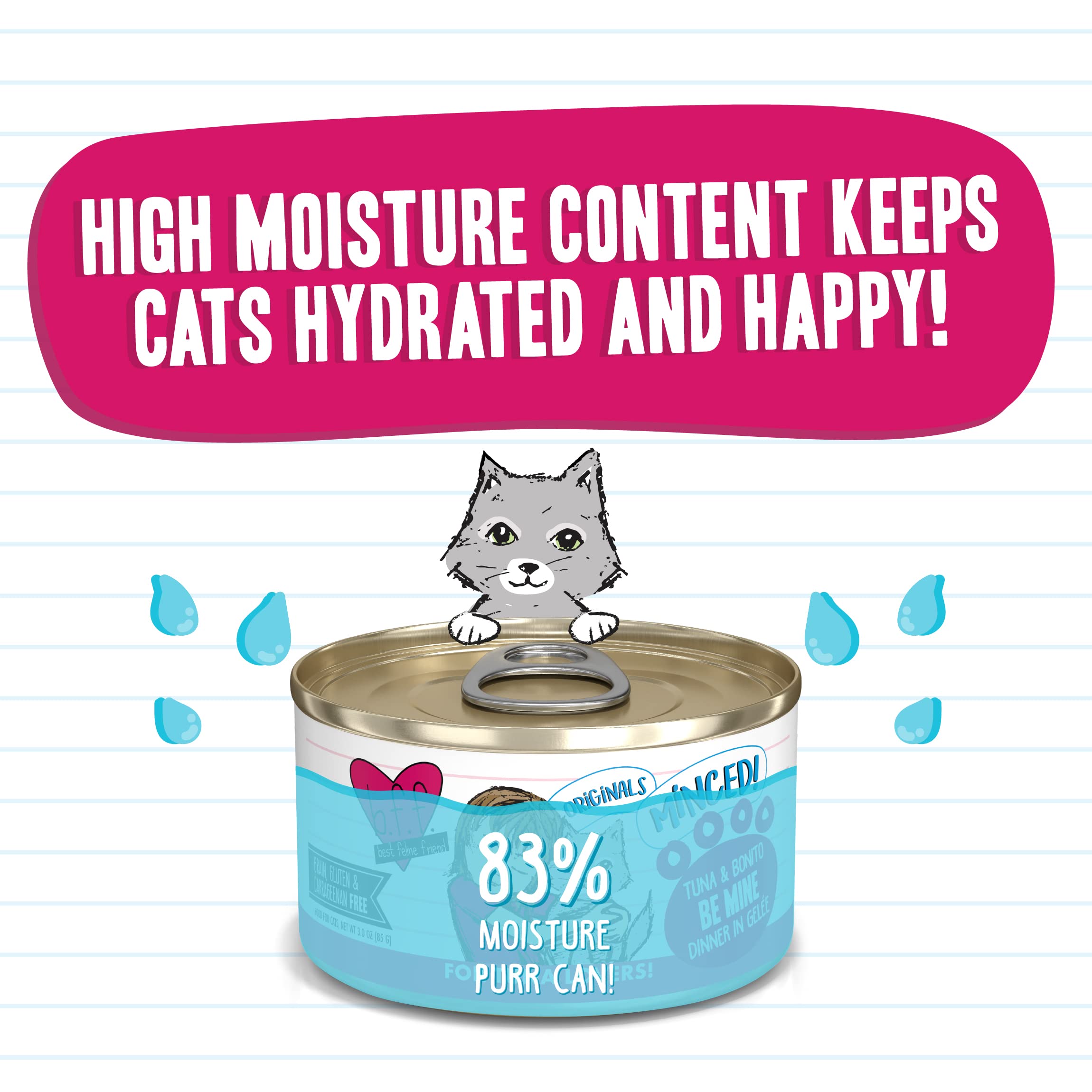 Weruva Best Feline Friend (B.F.F.) Tuna & Bonito Be Mine with Tuna & Bonito in Gel  e Cat Food, 3oz Can (Pack of 24)