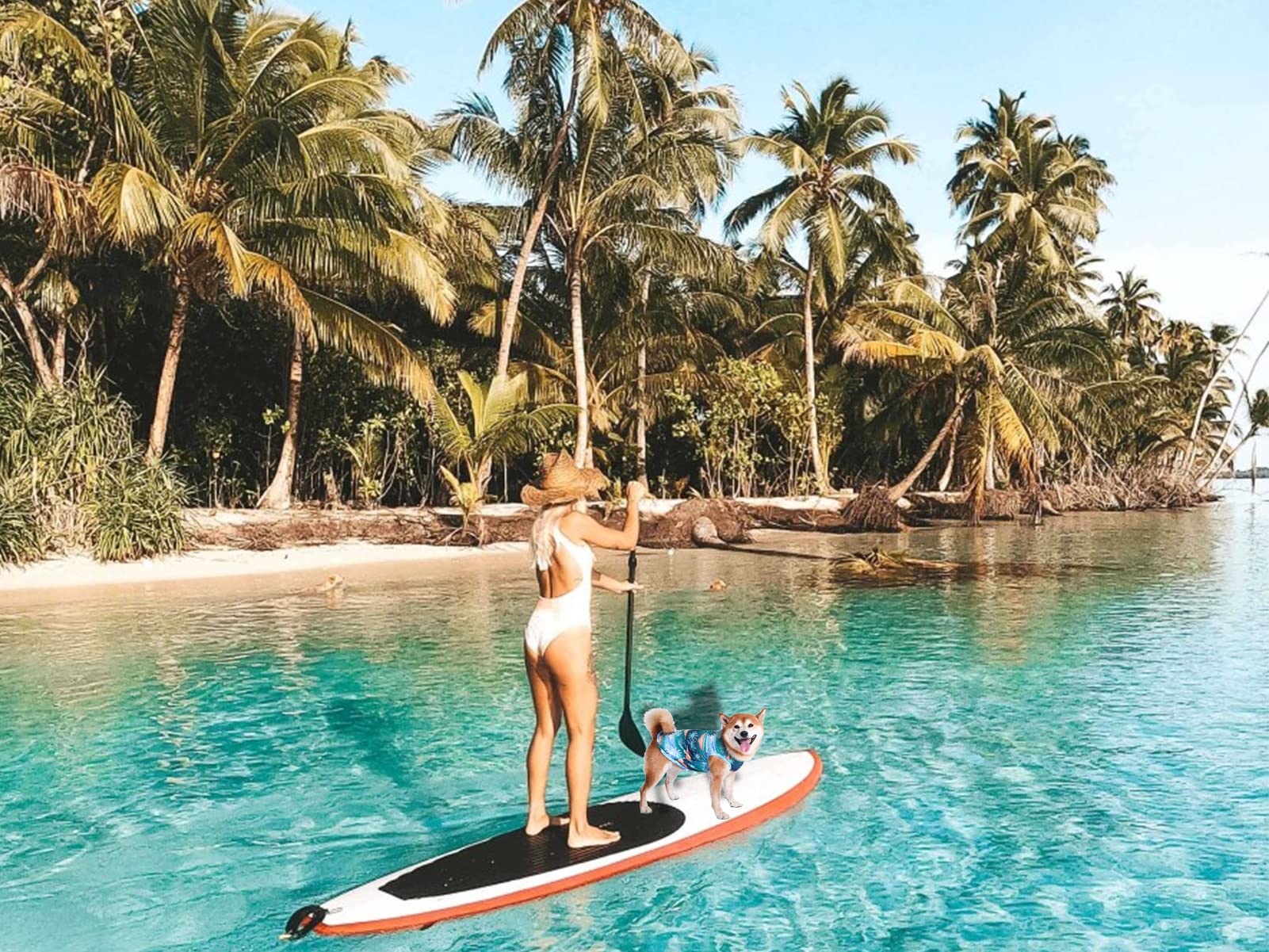 Y-Blue Dog Hawaiian Shirts,Summer Cooling Quick Dry Mesh Breathable T-Shirt Tops For Small Boy Girl Puppy Dogs,Pink+Blue S