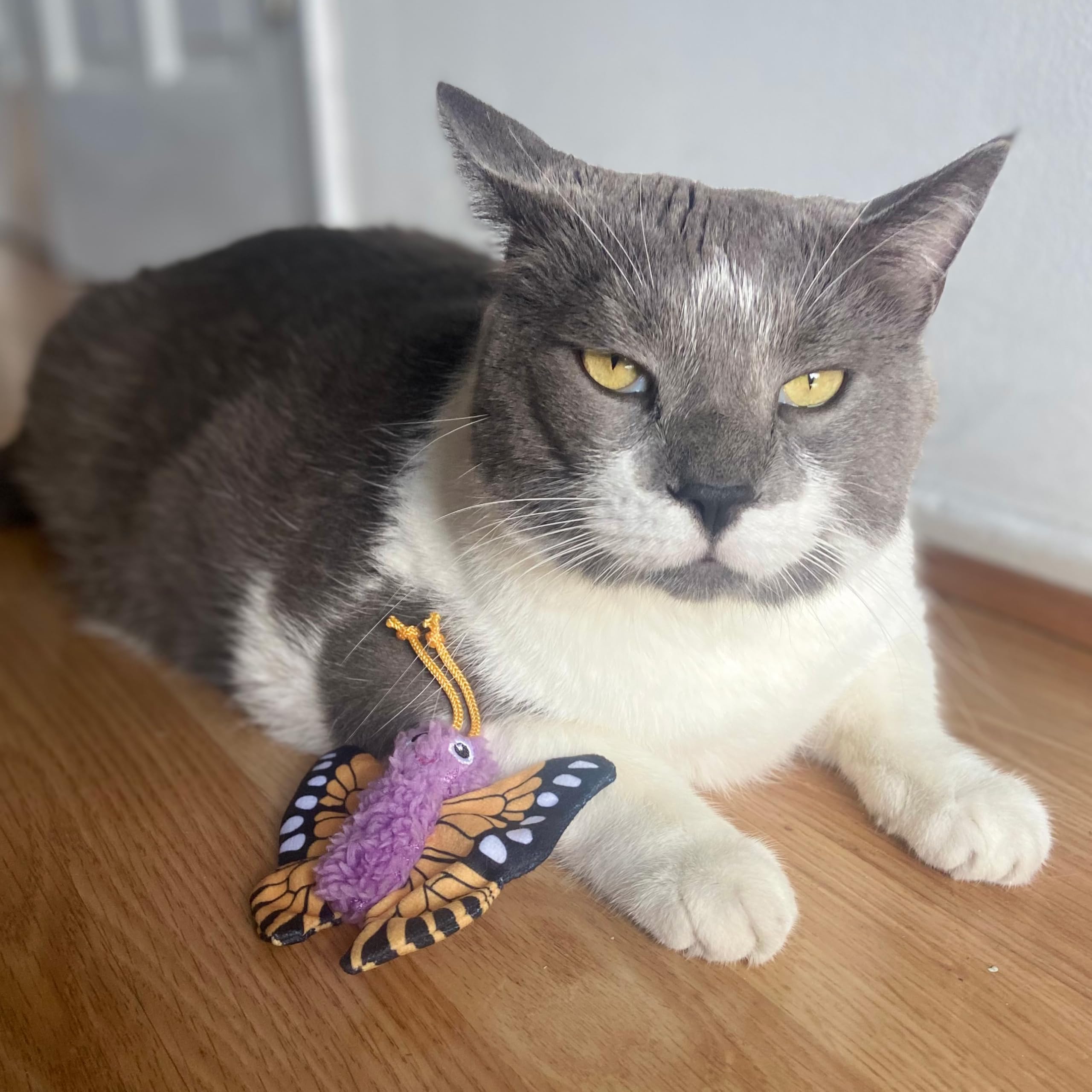 Spot Love The Earth Butterfly Cat Toy - Eco Friendly Catnip Toy Made With Recycled Plastic Bottles, Soft, Plush, Bright Colored