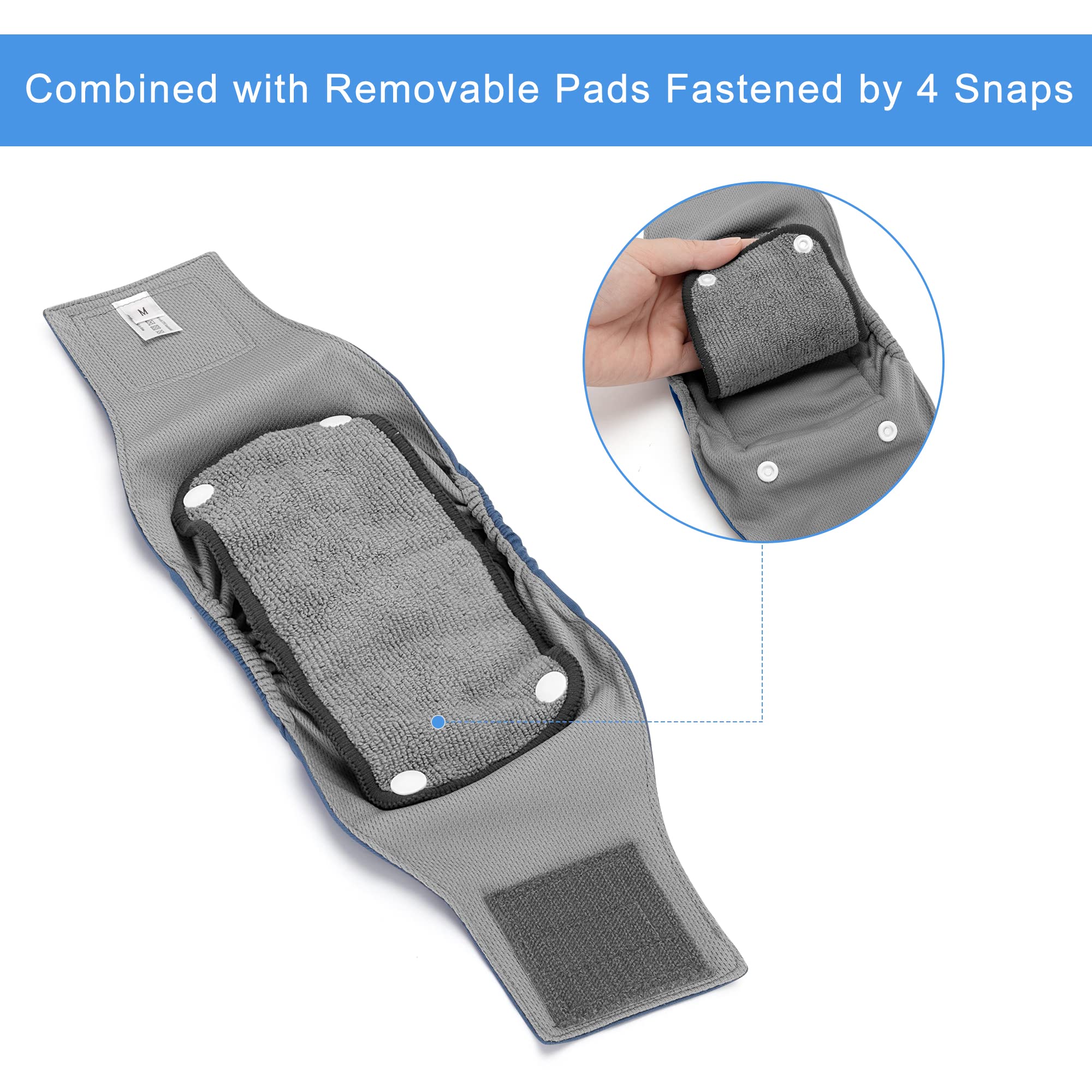 Teamoy Belly Bands For Male Dogs With Removable Pads, Reusable Washable Puppy Dog Diaper Wraps With Gray Lining(Pack Of 3),M