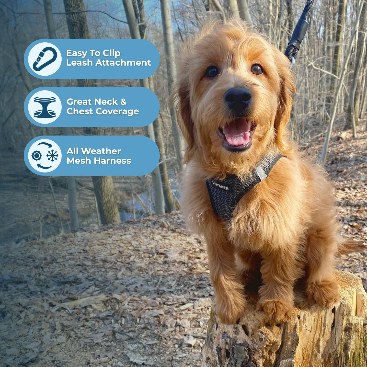 Voyager Step-In Air Dog Harness - All Weather Mesh Step In Vest Harness For Small And Medium Dogs By Best Pet Supplies - Gray (2-Tone), S