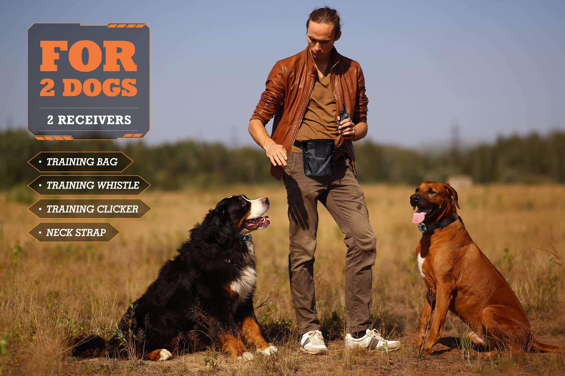 Patpet 3/4 Mile Range Dog Training Collar With Remote For Medium Large Dog, 15-150Lbs Dog Shock E Collar 2 Packs