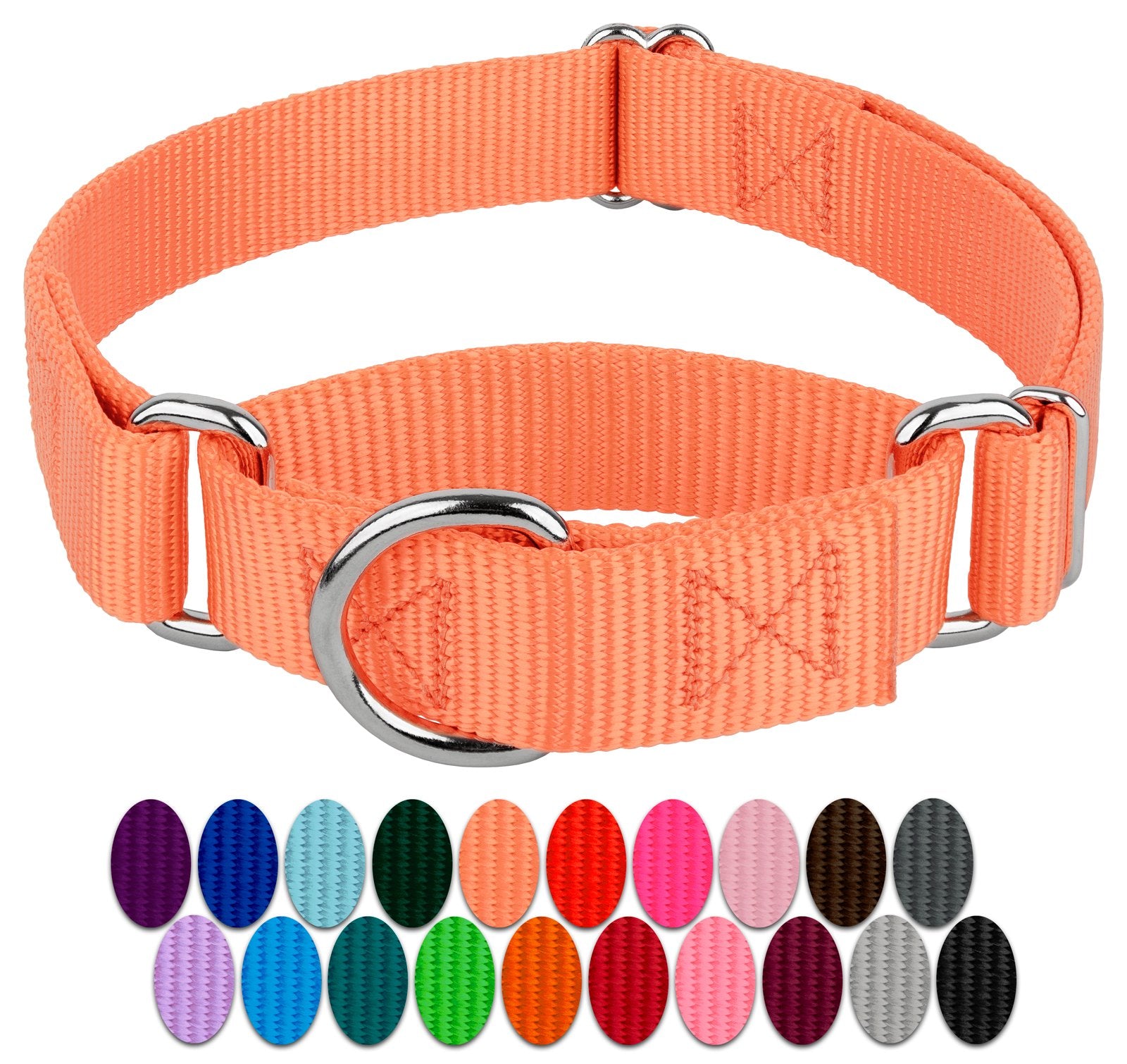 Country Brook Design - Mango Martingale Heavy Duty Nylon Dog Collar - 21 Vibrant Color Options (1 Inch Width, Large)