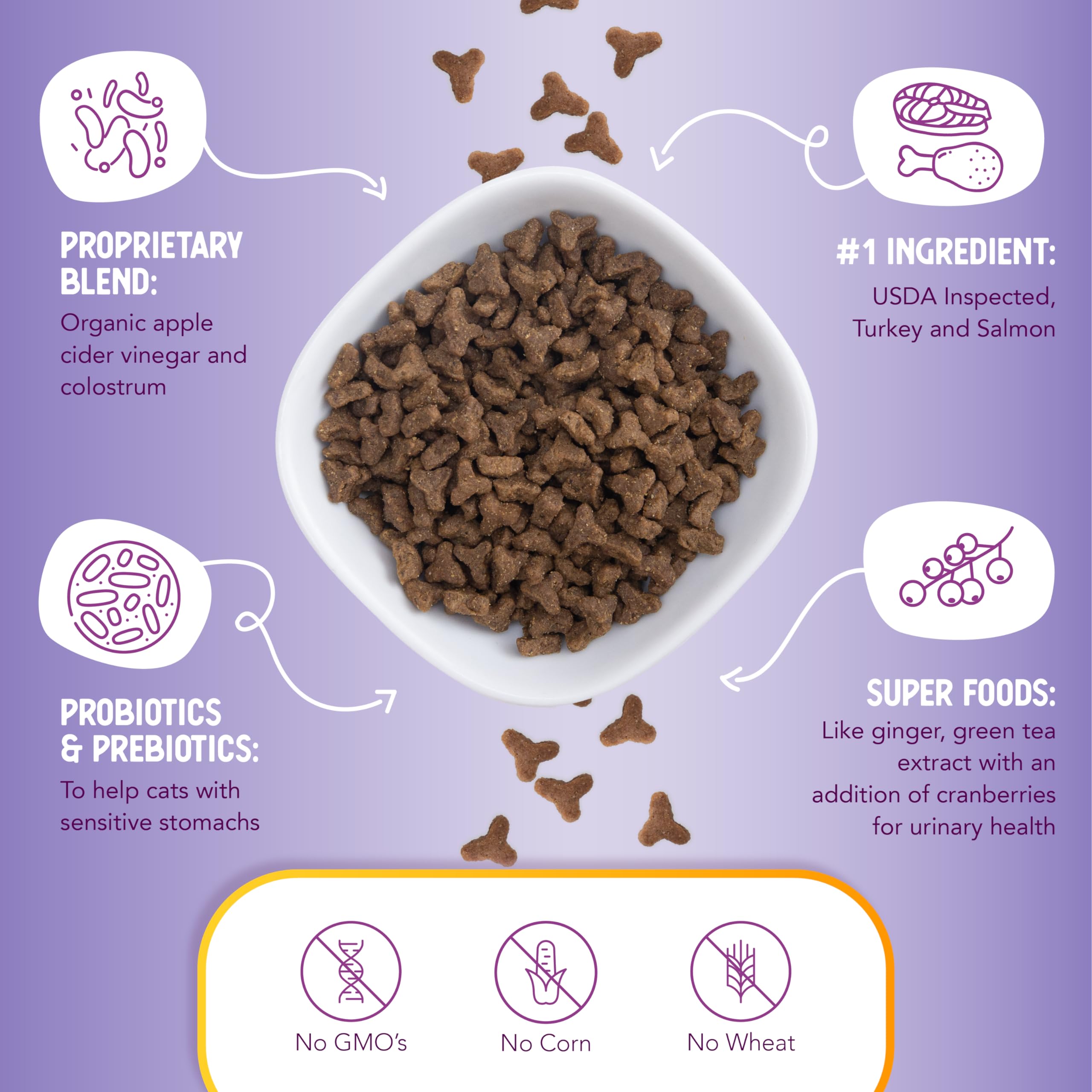 Health Extension Dry Cat Food, (15 lb / 6.8 kg) - Turkey & Salmon Recipe with Whole Vegetables, Berries, Added Vitamins & Minera