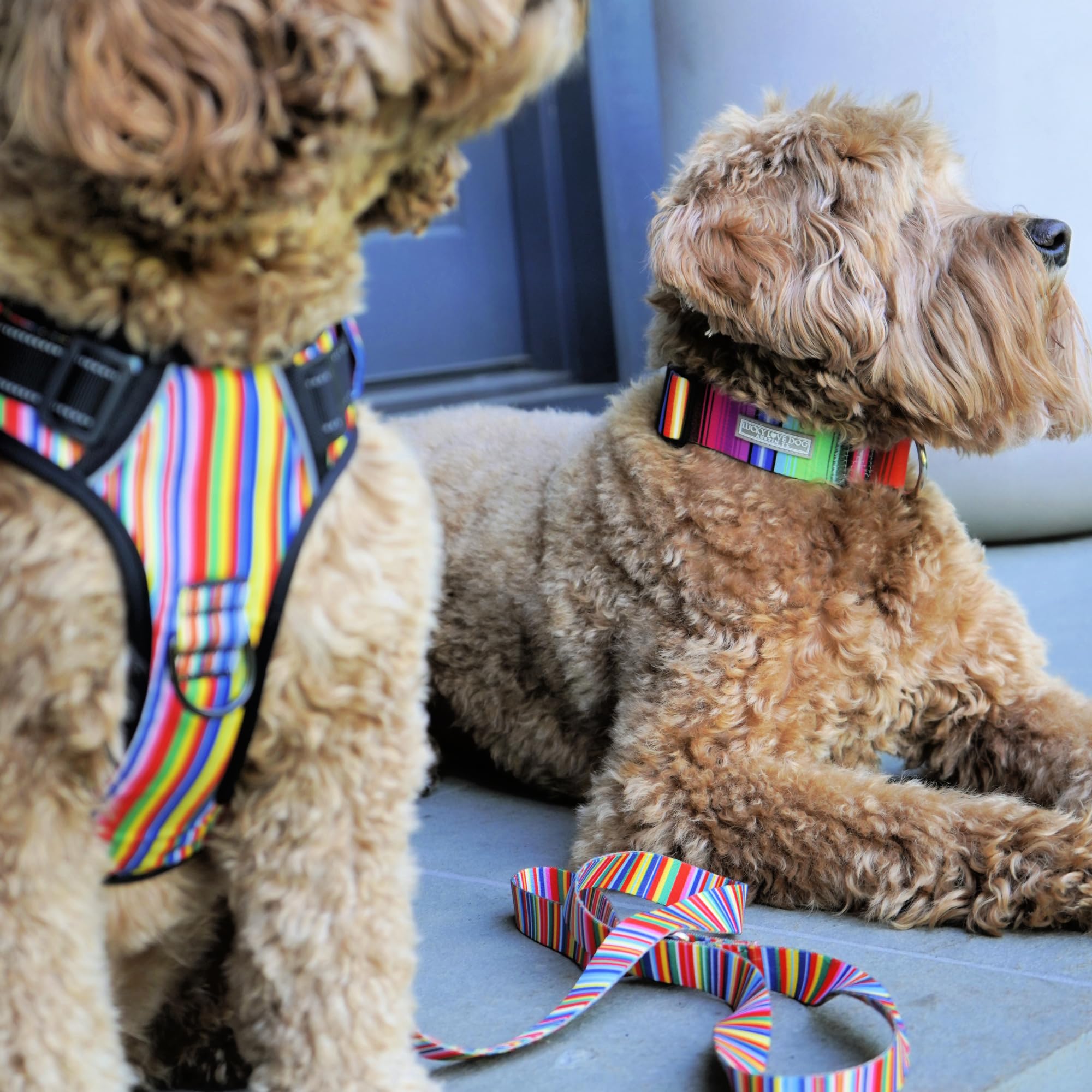 Lucky Love Dog Harness, Easy To Walk, No Pull Dog Harness, Adjustable Custom Fit (Hippie, Small)