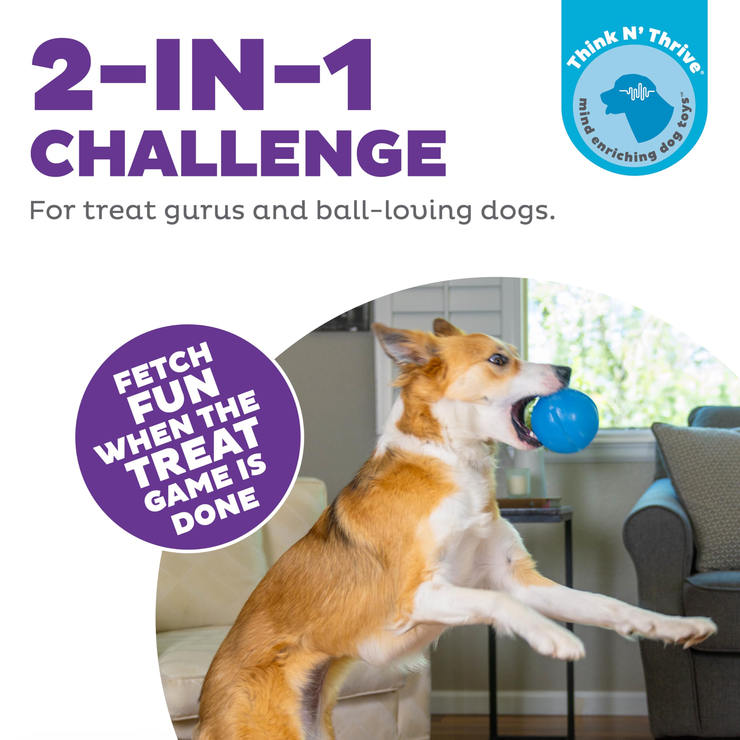 Outward Hound by Planet Dog Guru Treat-Dispensing Puzzle Ball Dog Toy, Blue