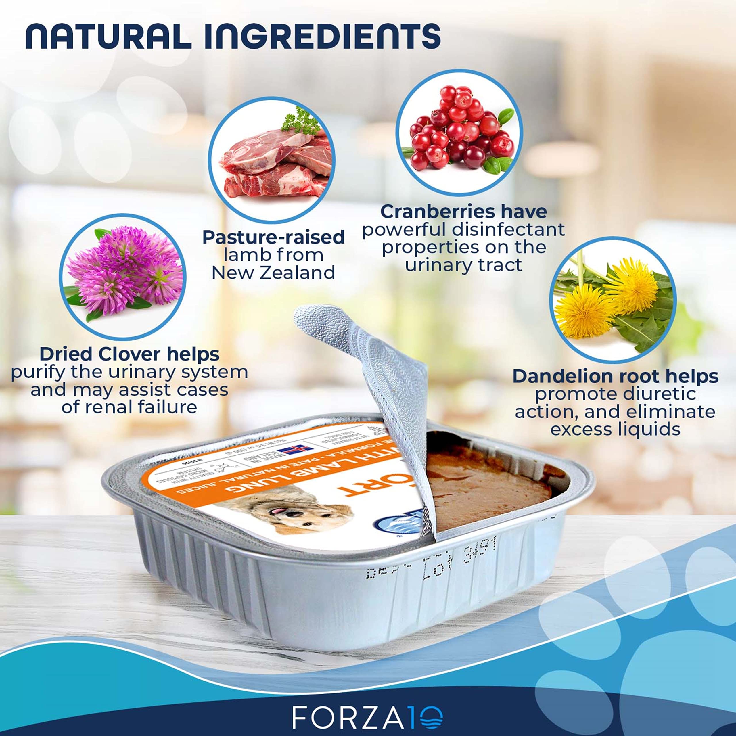 Forza10 Kidney Care Dog Food - Renal Support Wet Dog Food with Lamb, Low Protein & Phosphorus Formula, Sensitive Stomach, 3.5 oz